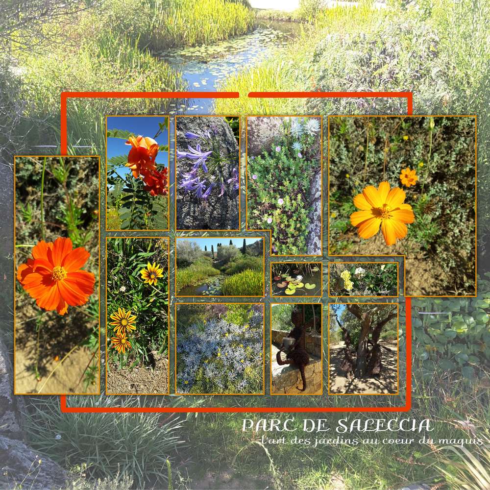 Scraptober 2019 - Balade