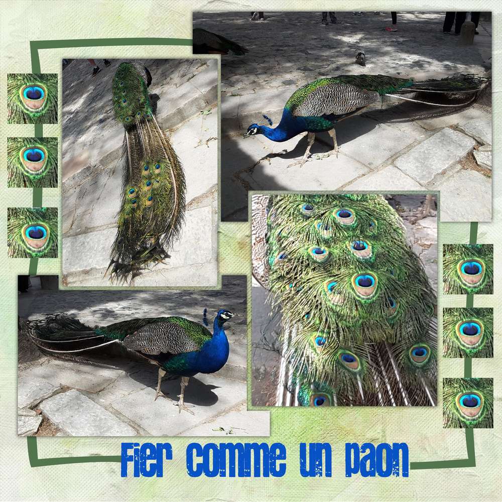 Scraptober 2019 - Fier