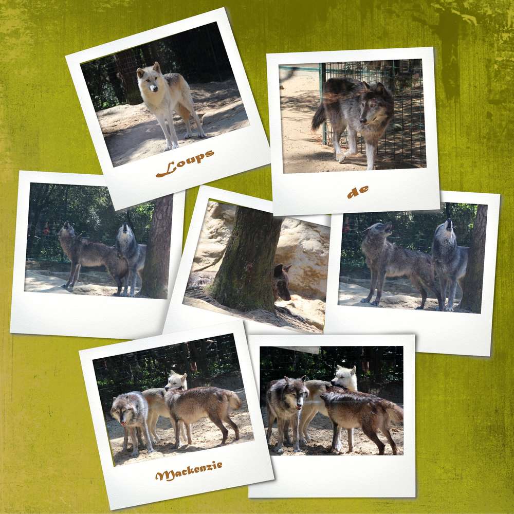 Scraptober 2019 - Loup