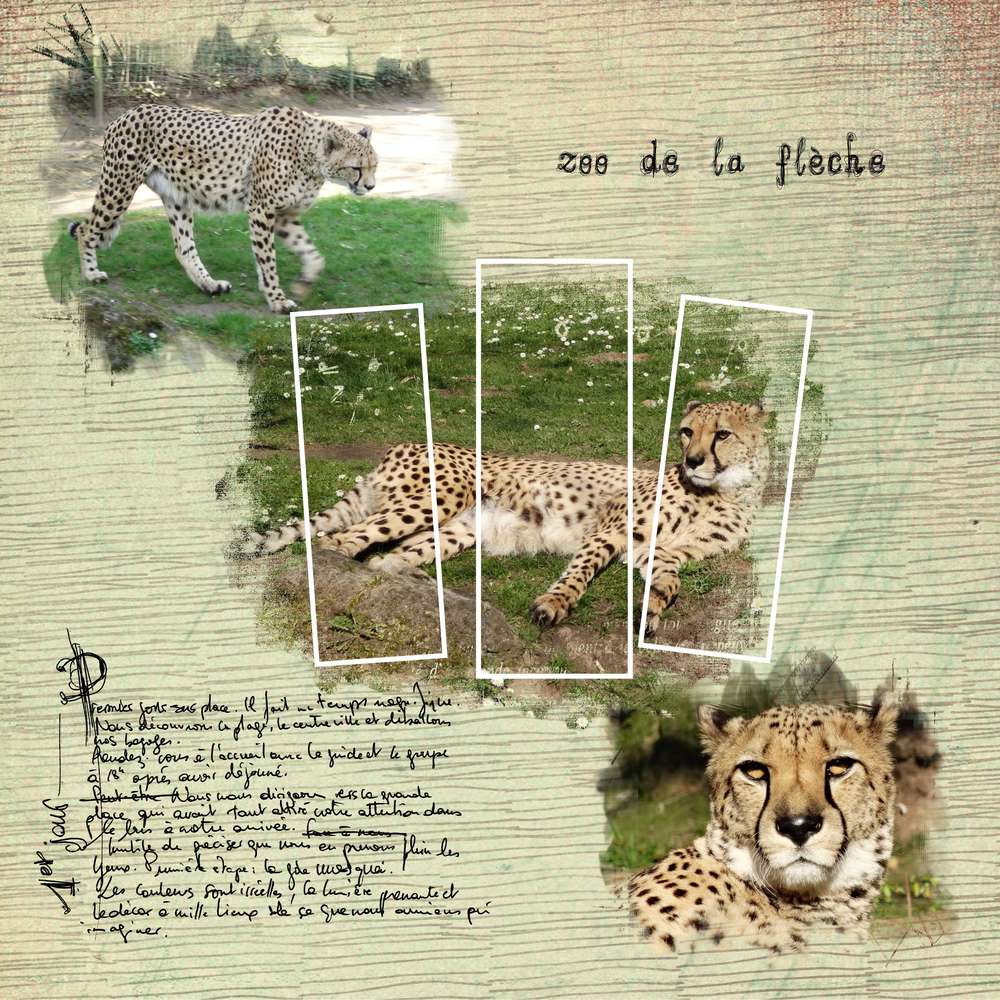 Scraptober 2019 - Sauvage