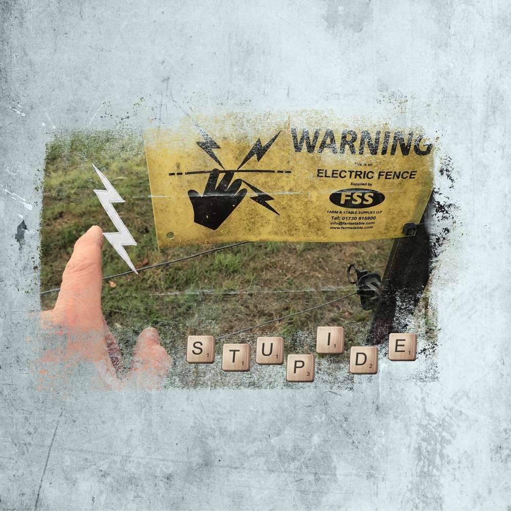 Scraptober 2019 - Stupide