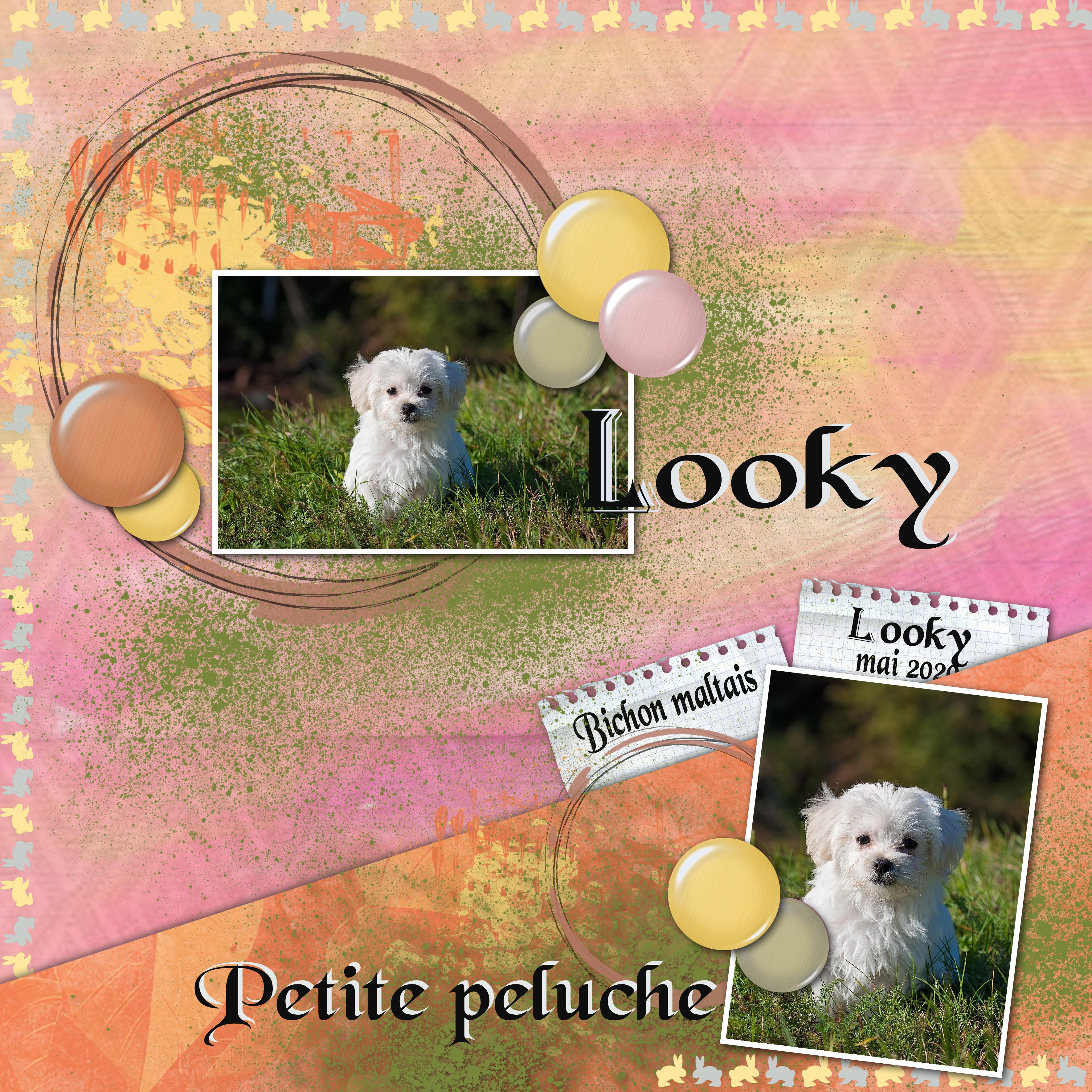 Scraptober 2020   06 animal de compagnie.jpg
