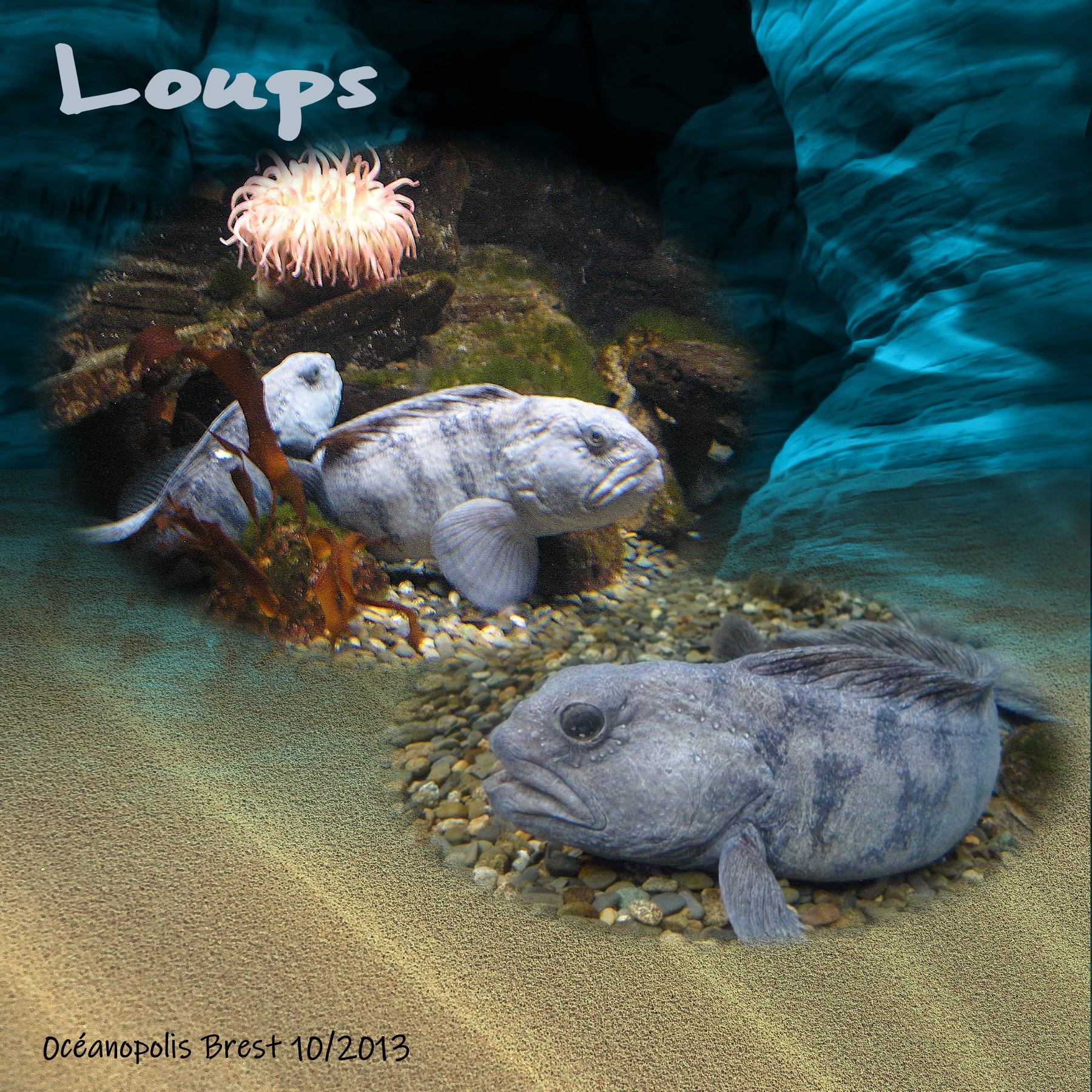 Scraptober 2020 poisson.jpg