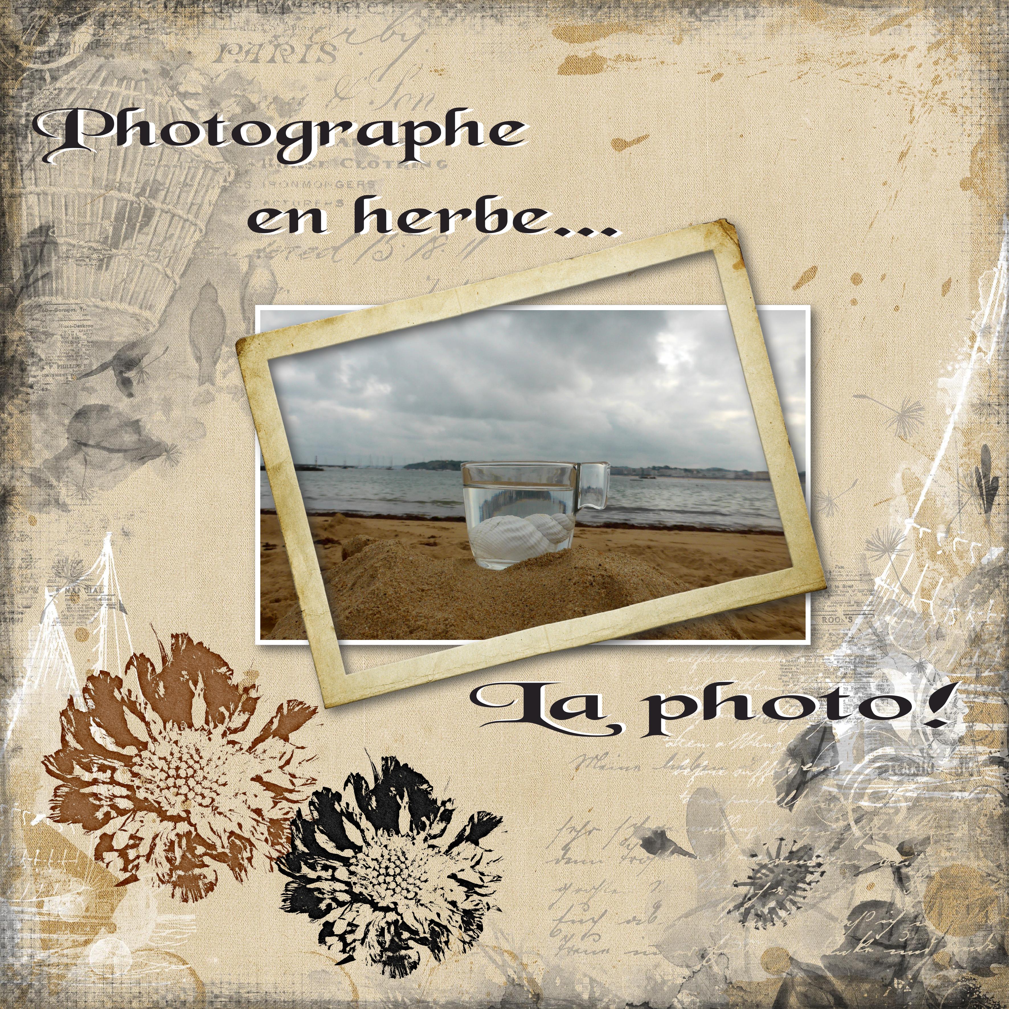 scraptober 2020   Sable la photo.jpg