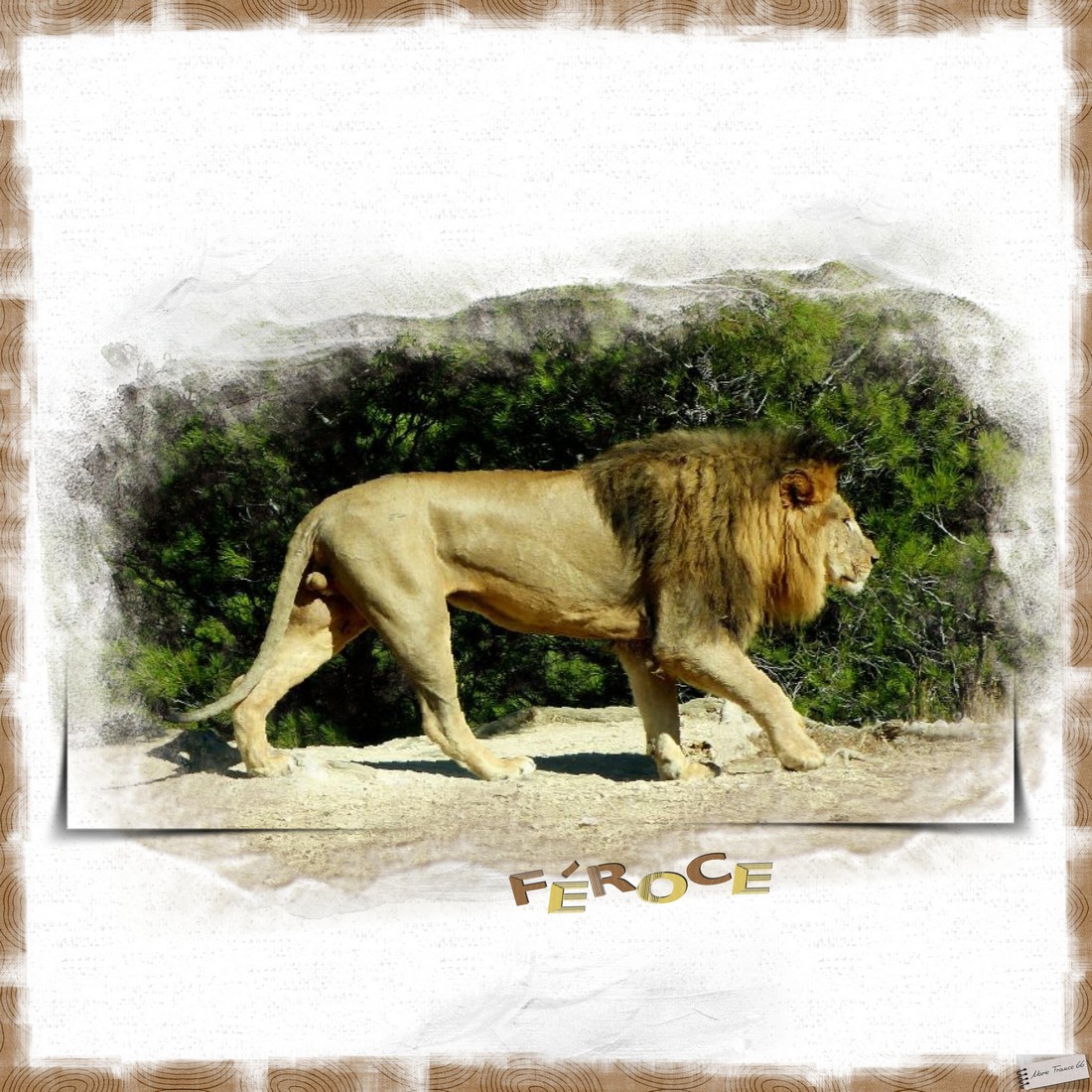 scraptober 2021 16 animal sauvage 1.jpg