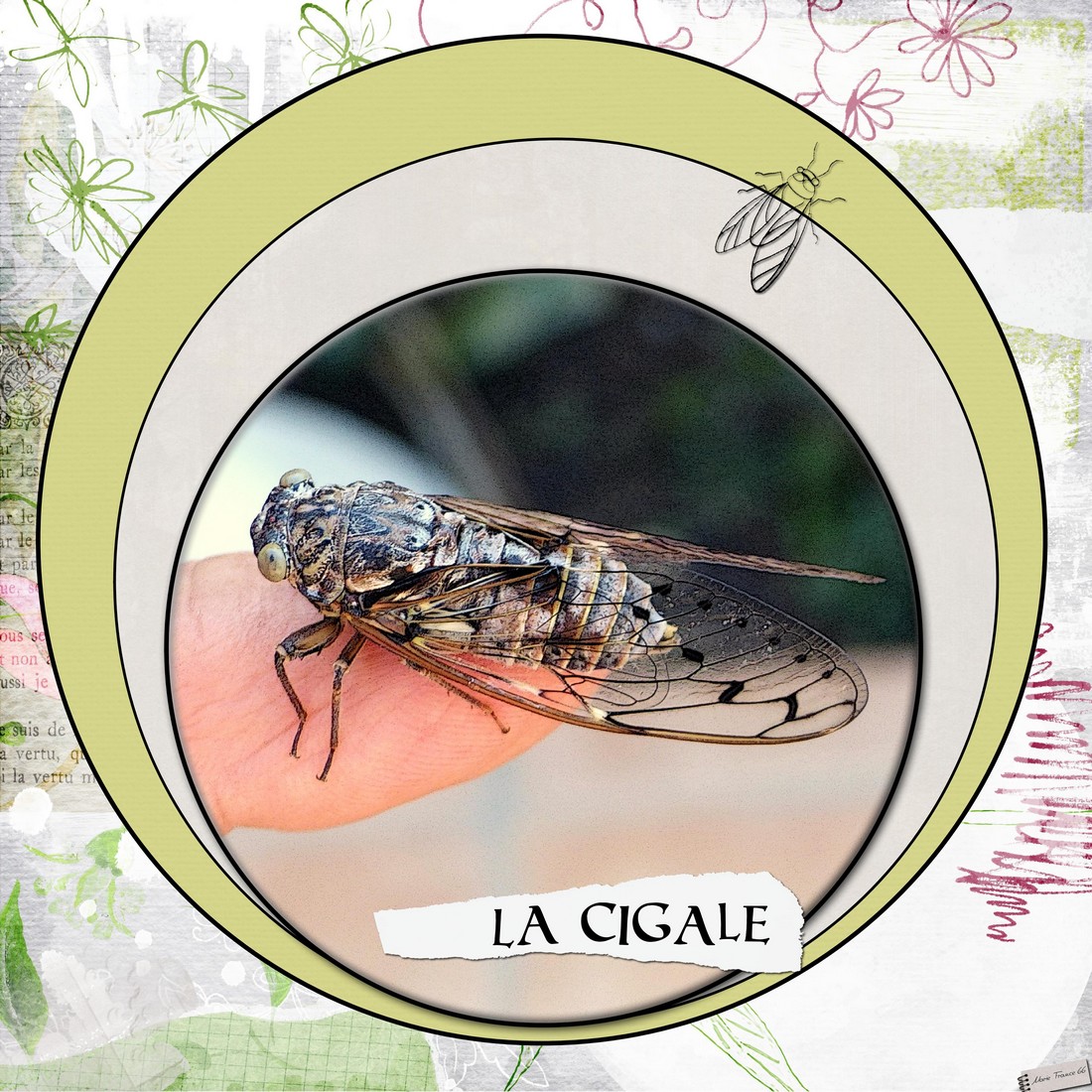 scraptober 2021 26 insectes 2.jpg