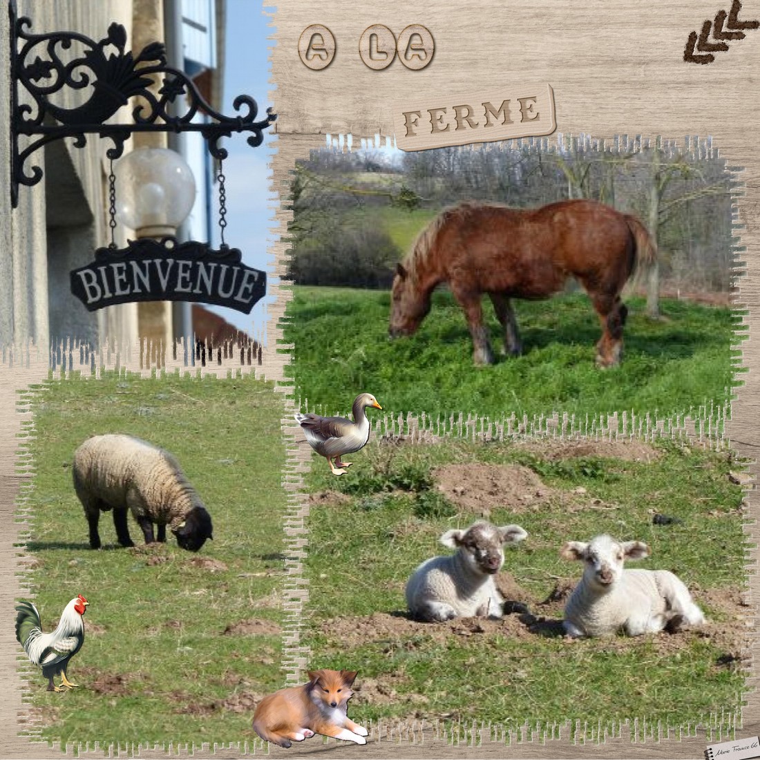 scraptober 2021 29 campagne 2.jpg