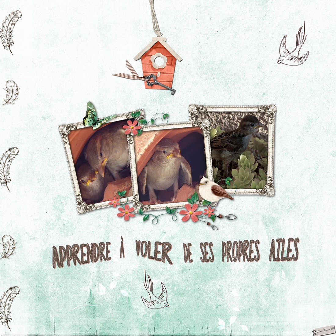 scraptober 2021.4 voler.jpg