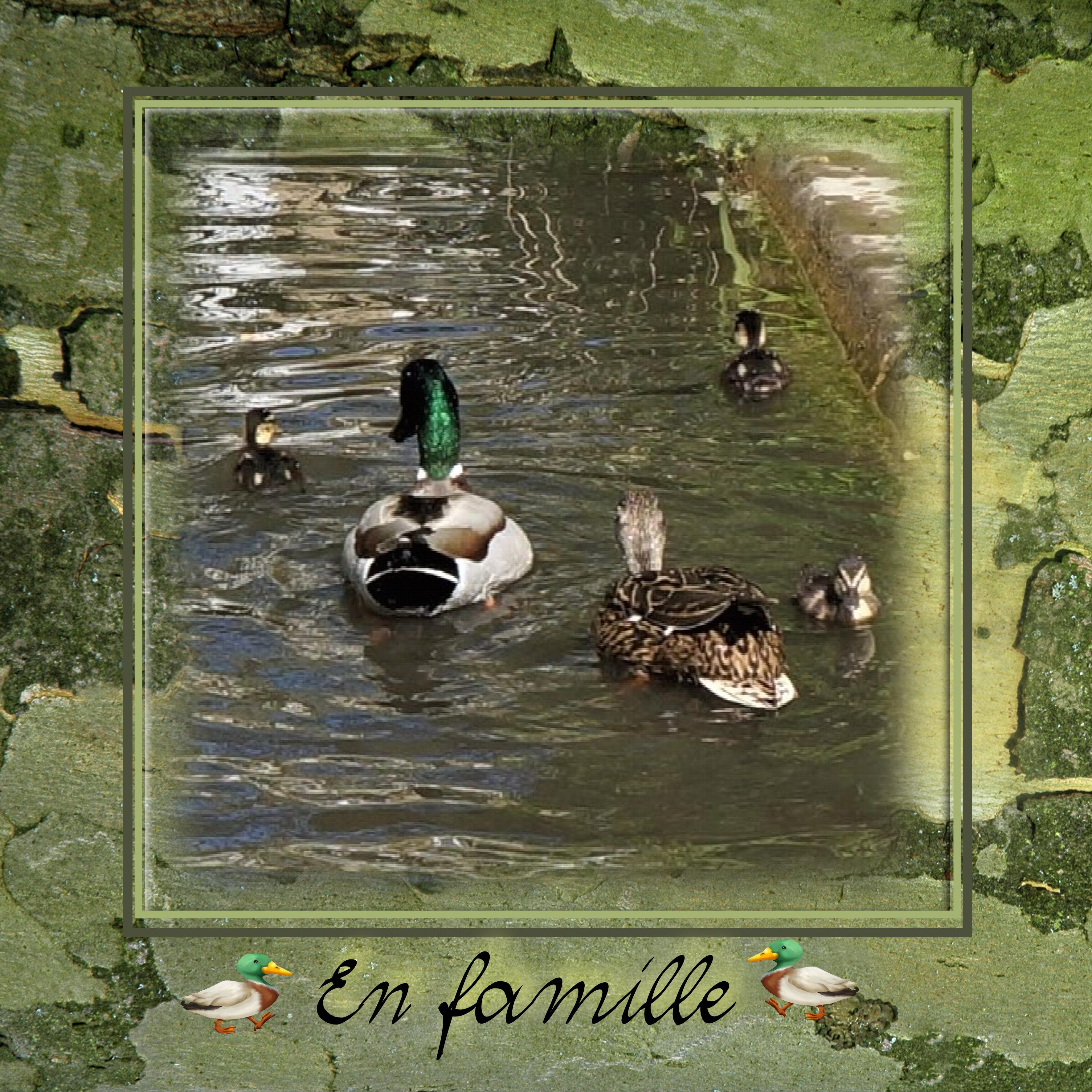 scraptober 2022 En famille.jpg