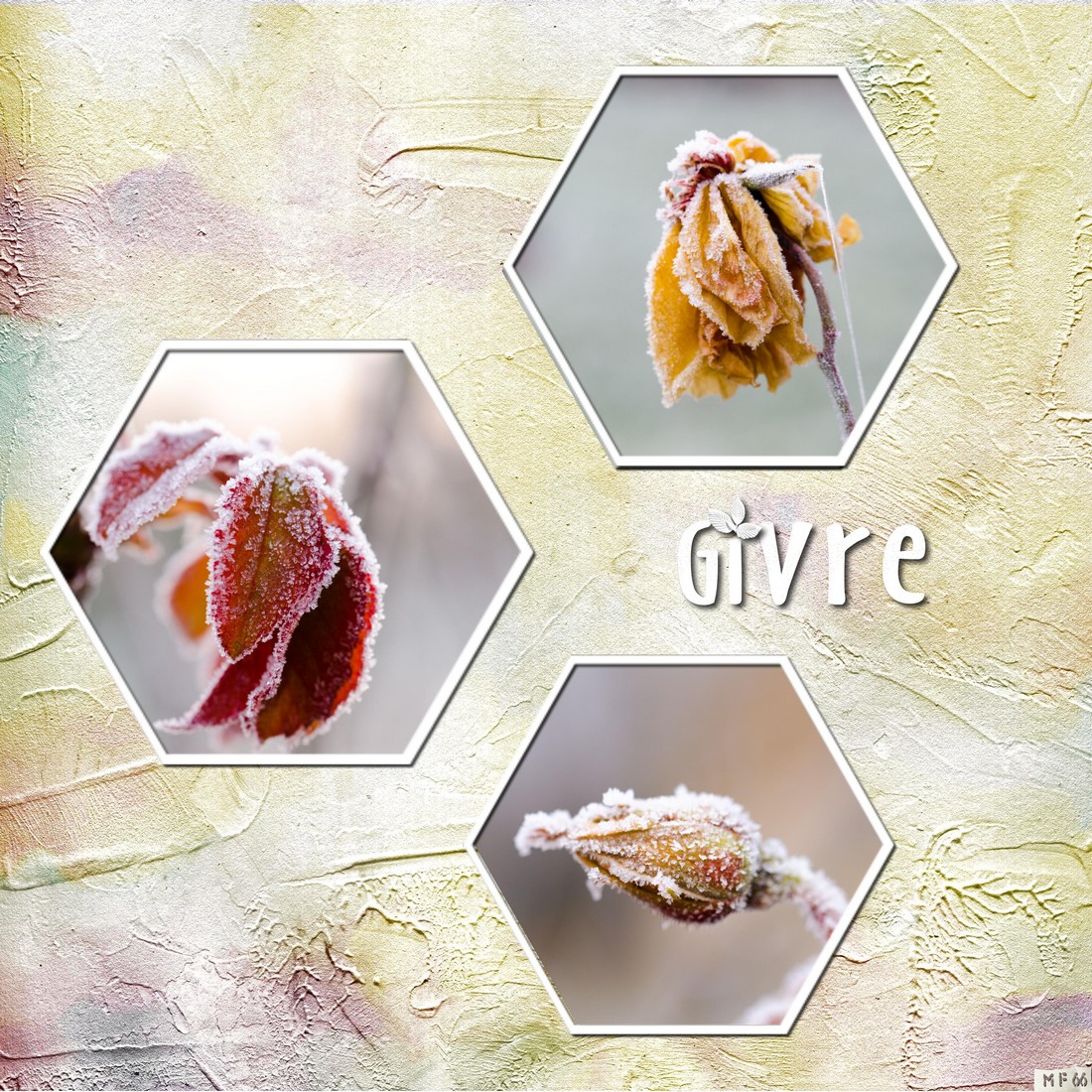 scraptober 2023 15 froid .jpg