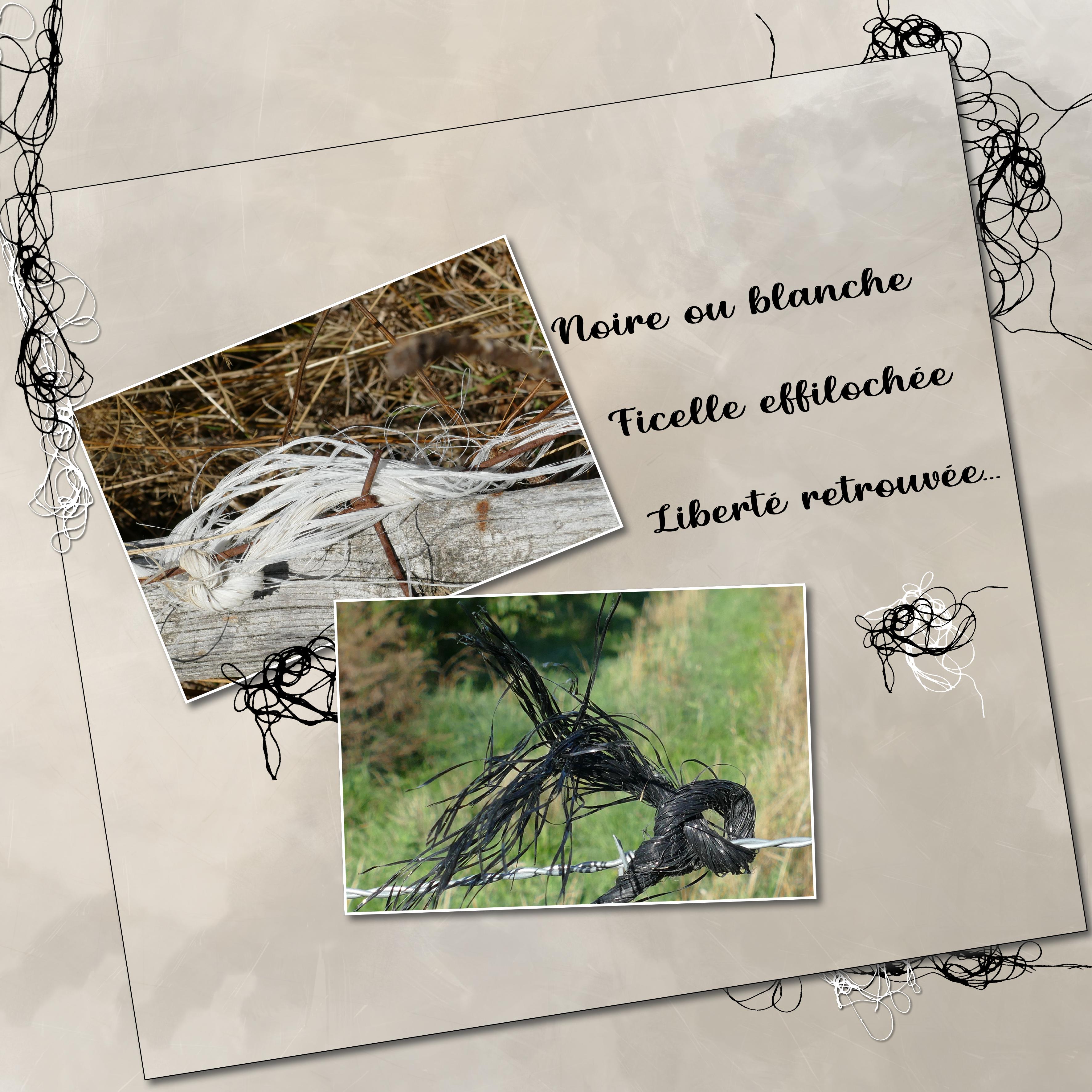 Scraptober 2023 ficelle.jpg