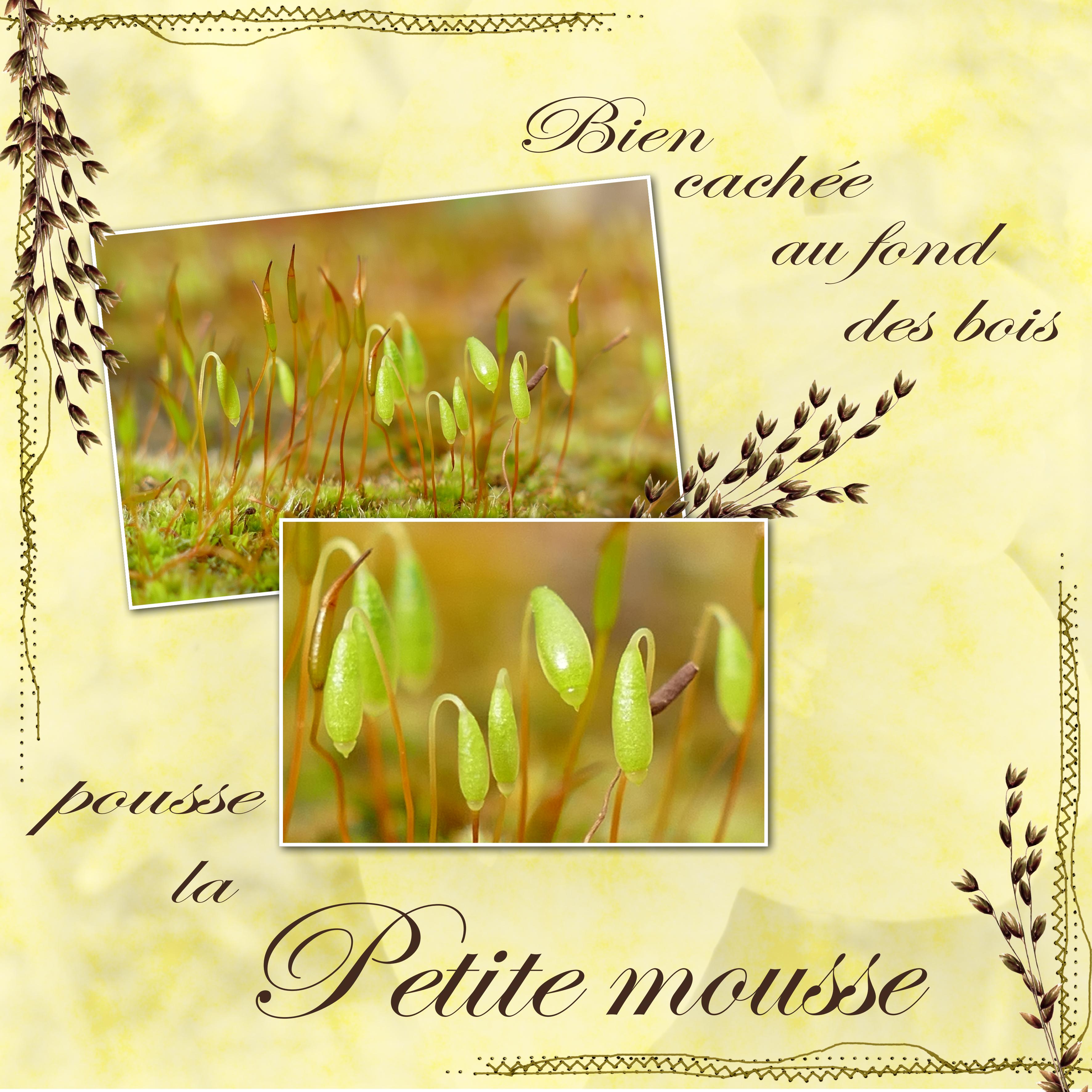 Scraptober 2023 Mousse.jpg