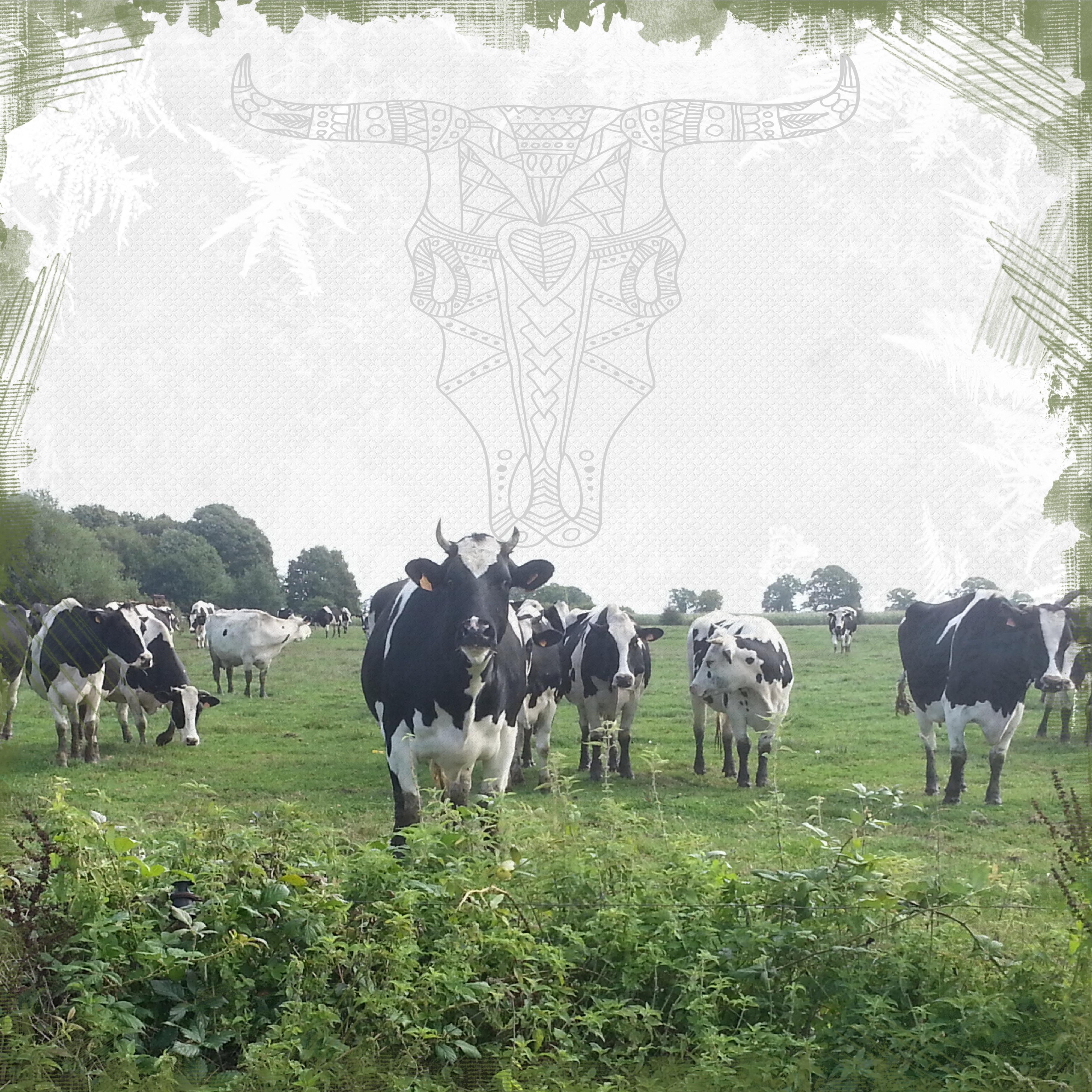 Scraptober 2026.29. Vache.jpg