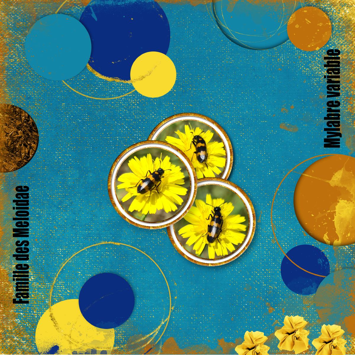 scraptober 21 insecte.jpg