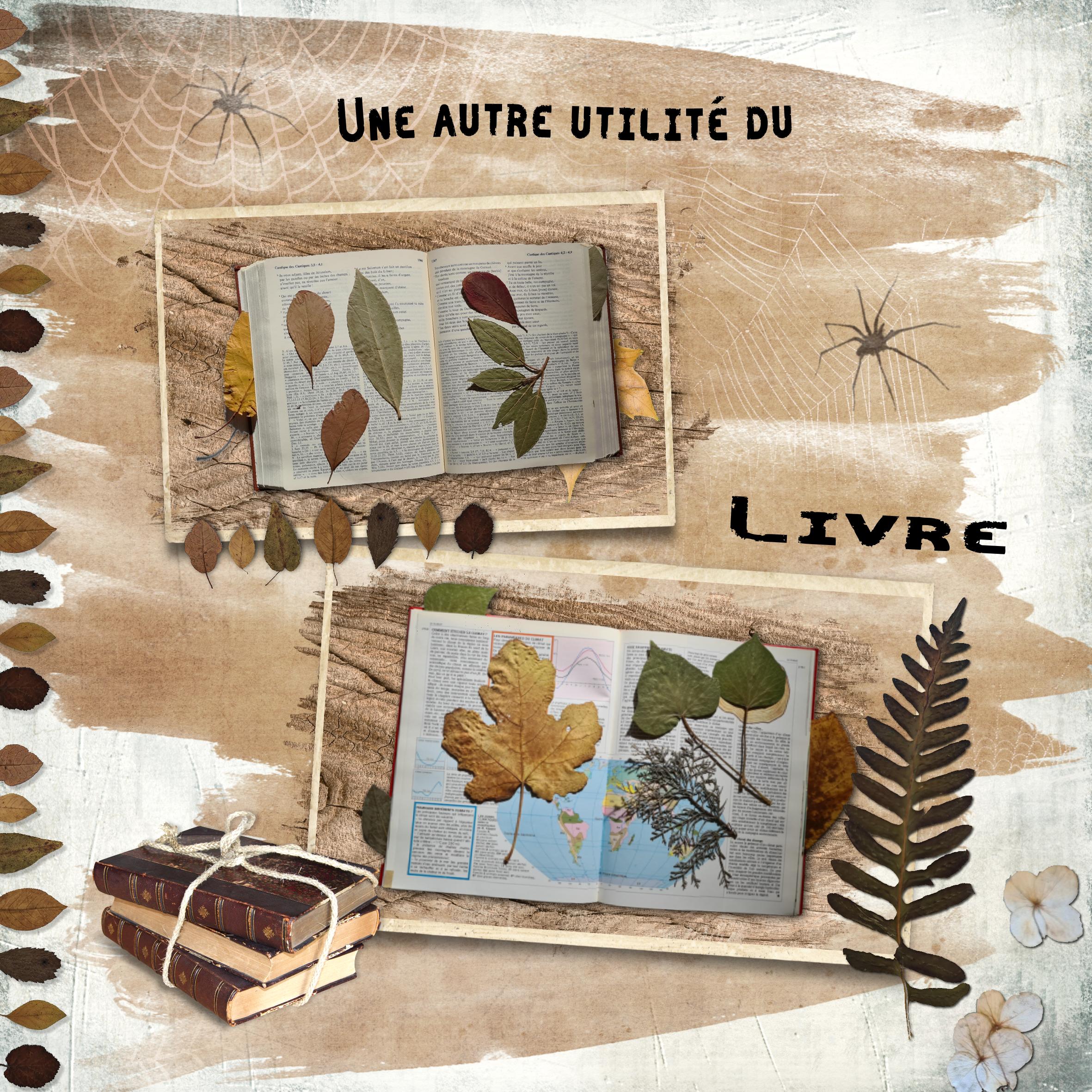 scraptober 23 livre.jpg