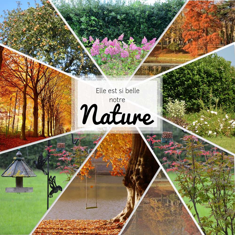 Scraptober 23 nature 1