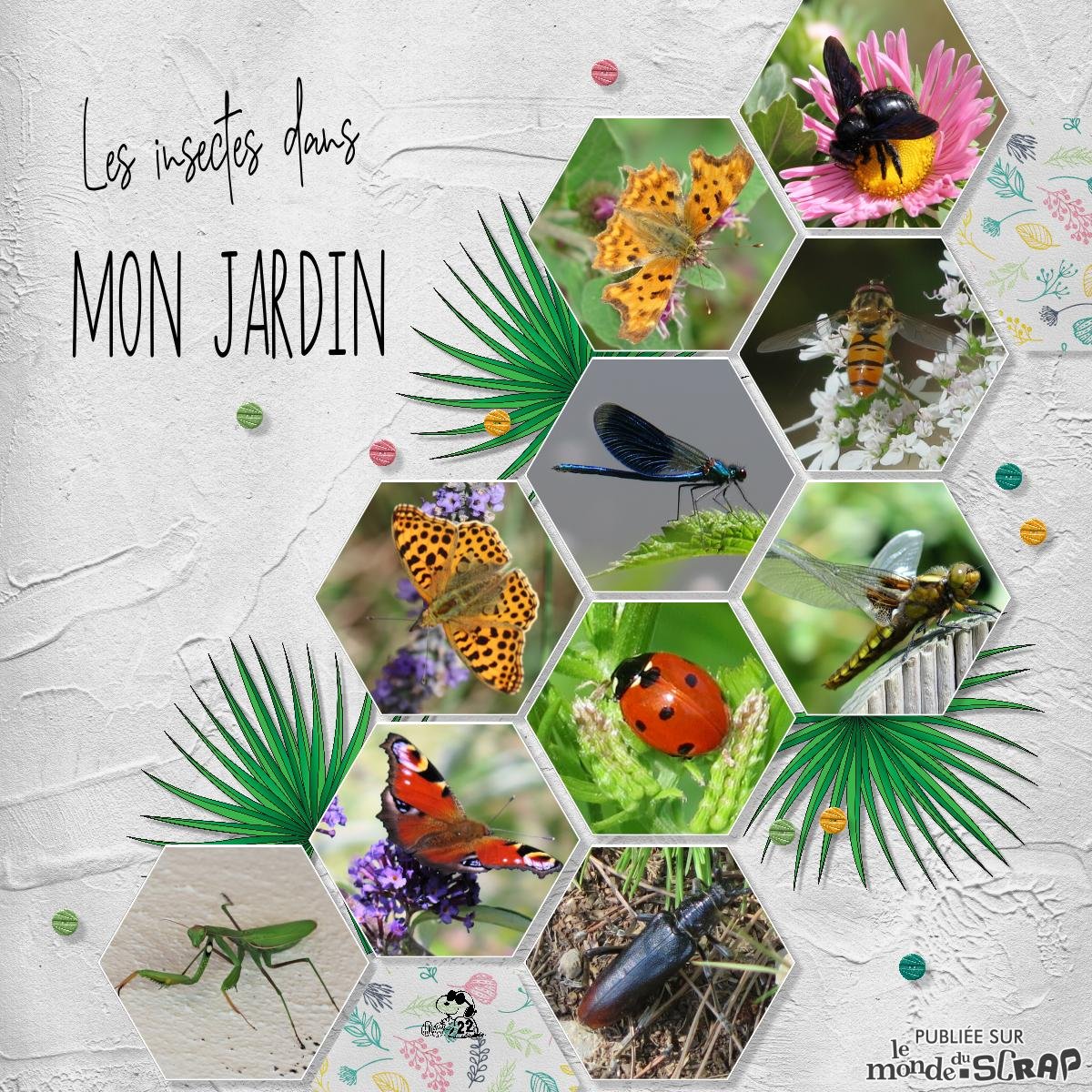 Scraptober 26 insectes