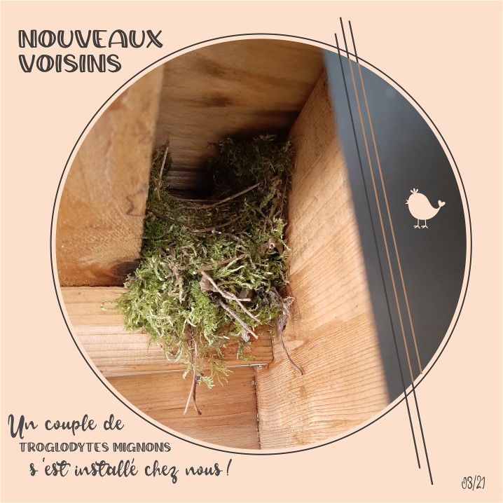 Scraptober 3 - Cercle.jpg