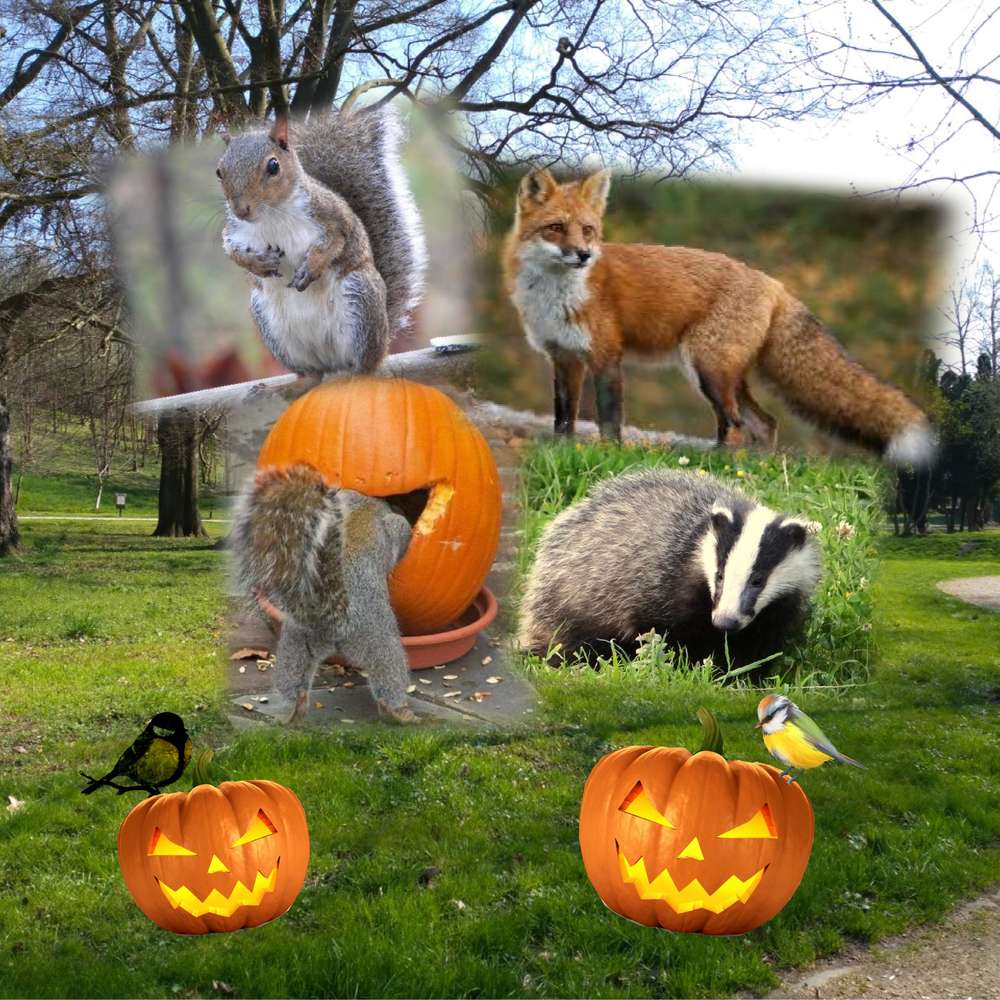 Scraptober 31 citrouille