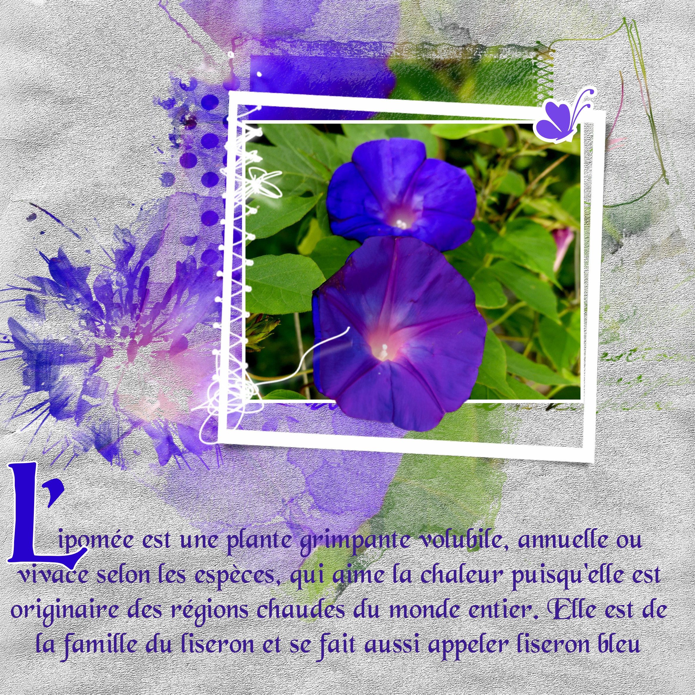 scraptober 5 fleur.jpg