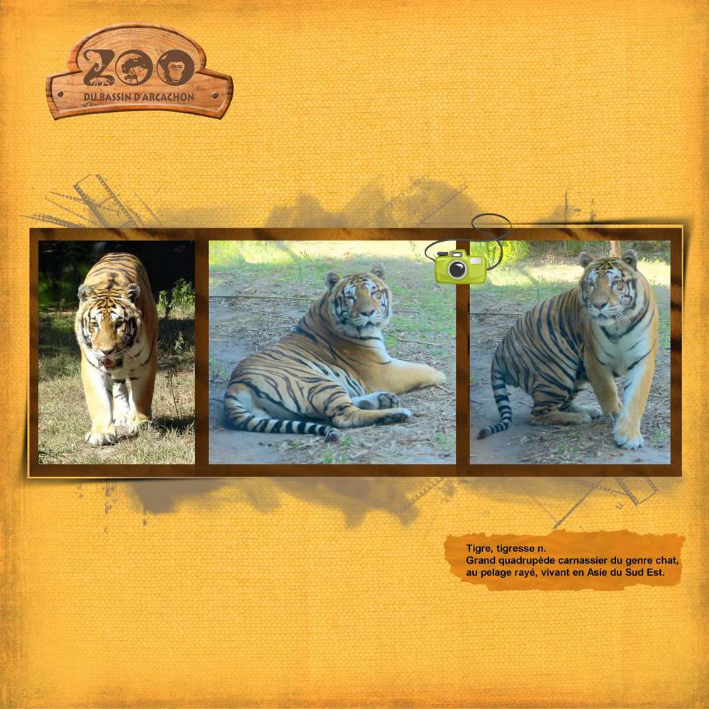 Scraptober - 7 Animaux