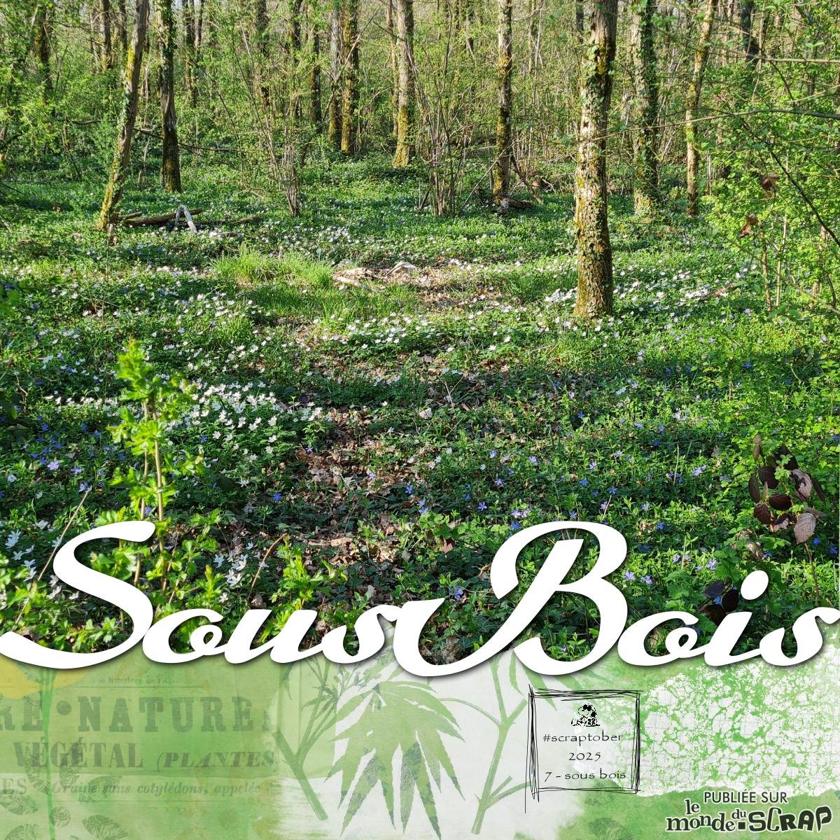 Scraptober # 7 Sous bois