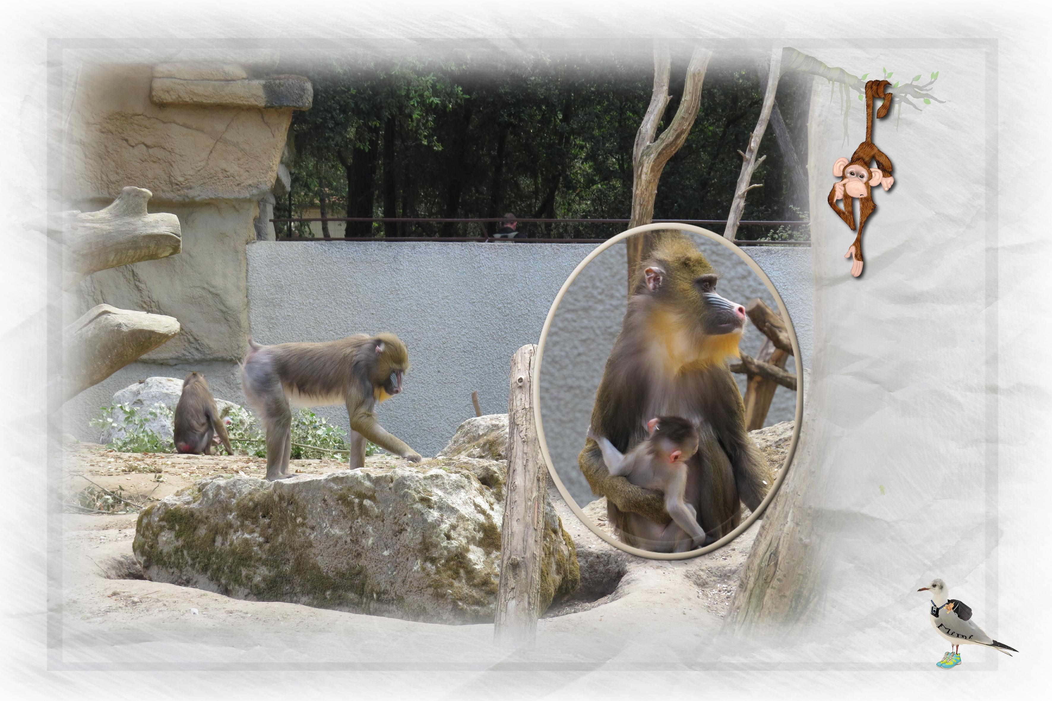 scraptober-animal sauvage-16 oct.jpg