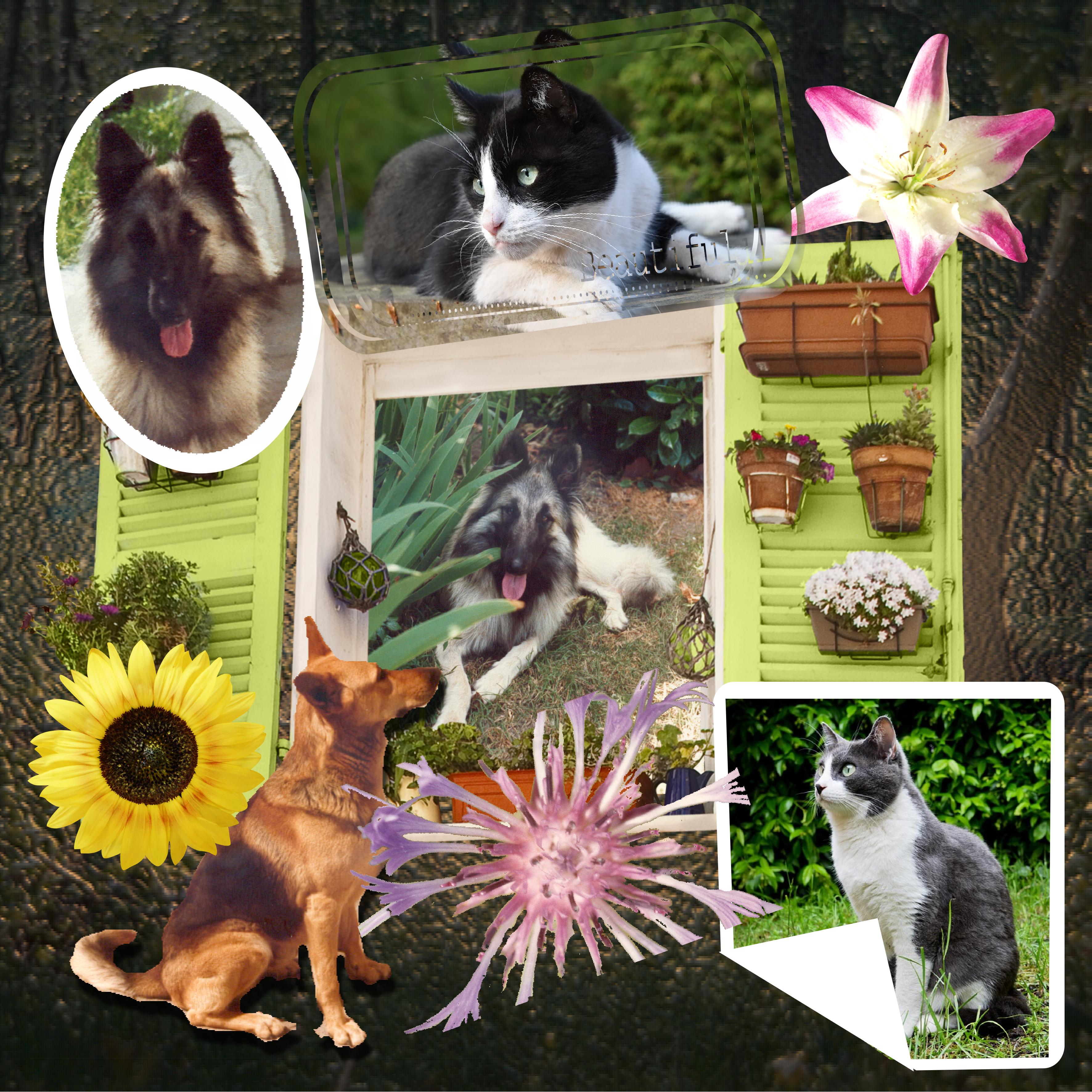 scraptober  animaux domestiques.jpg