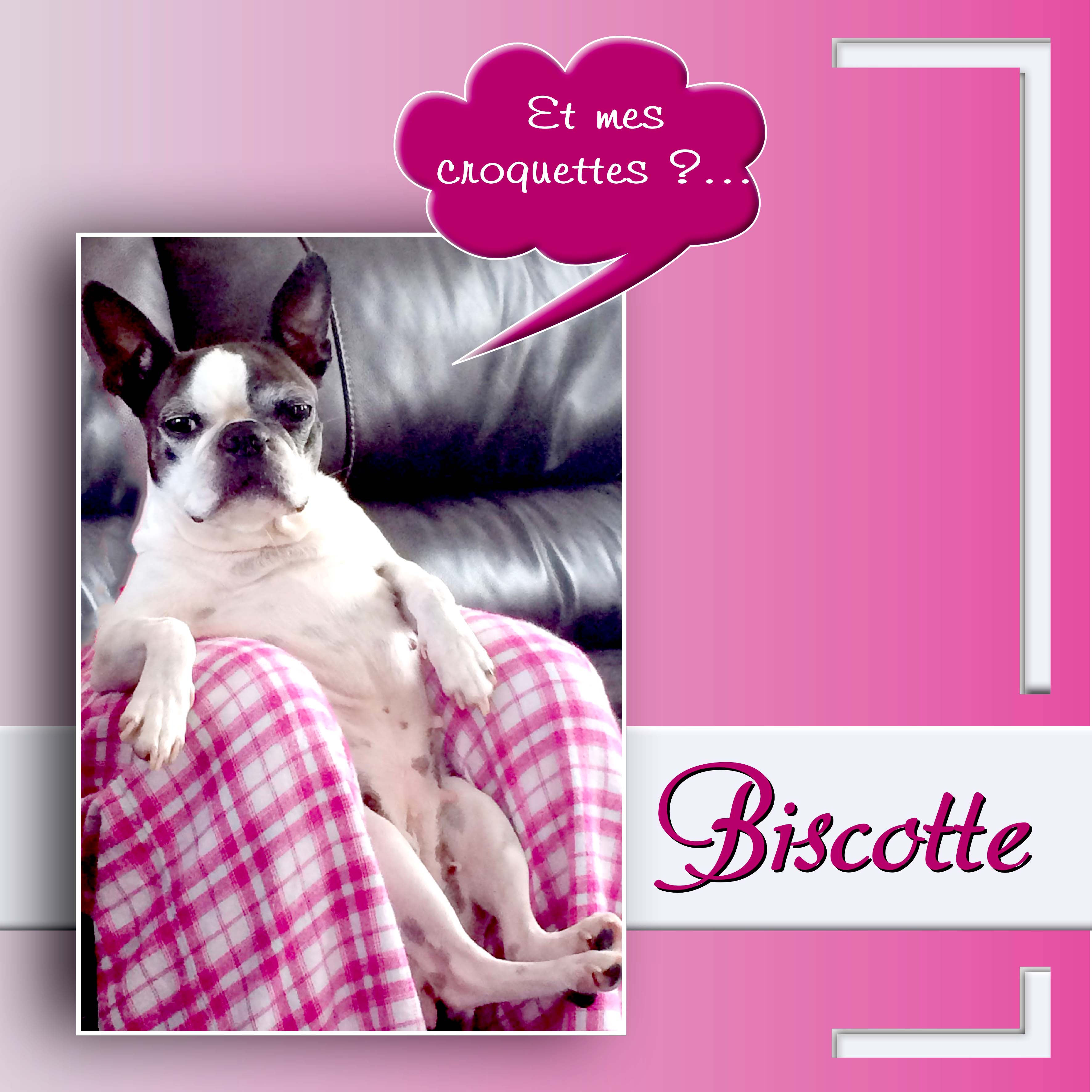 SCRAPTOBER ANIMAUX.jpg