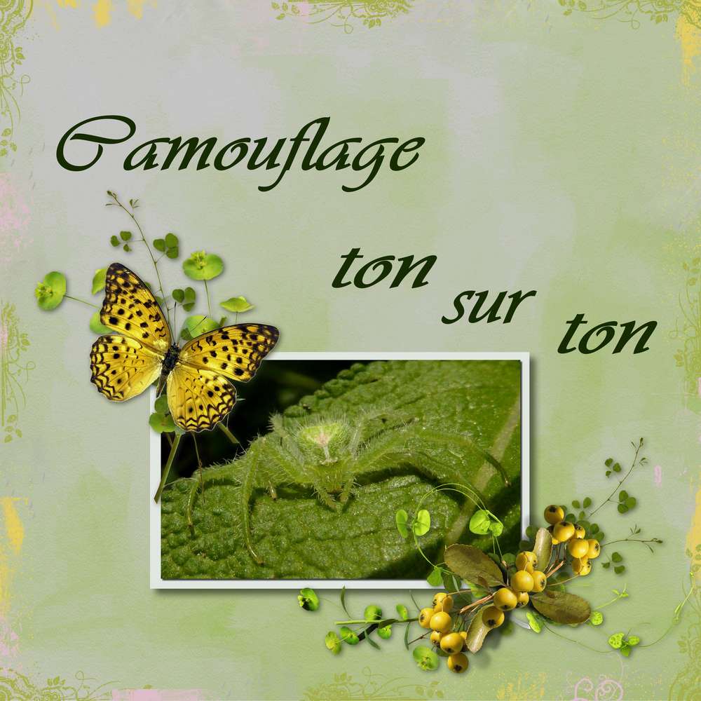 Scraptober araignée 1