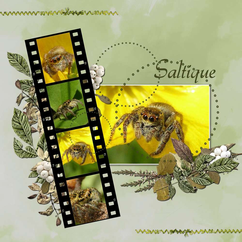 Scraptober araignée 2