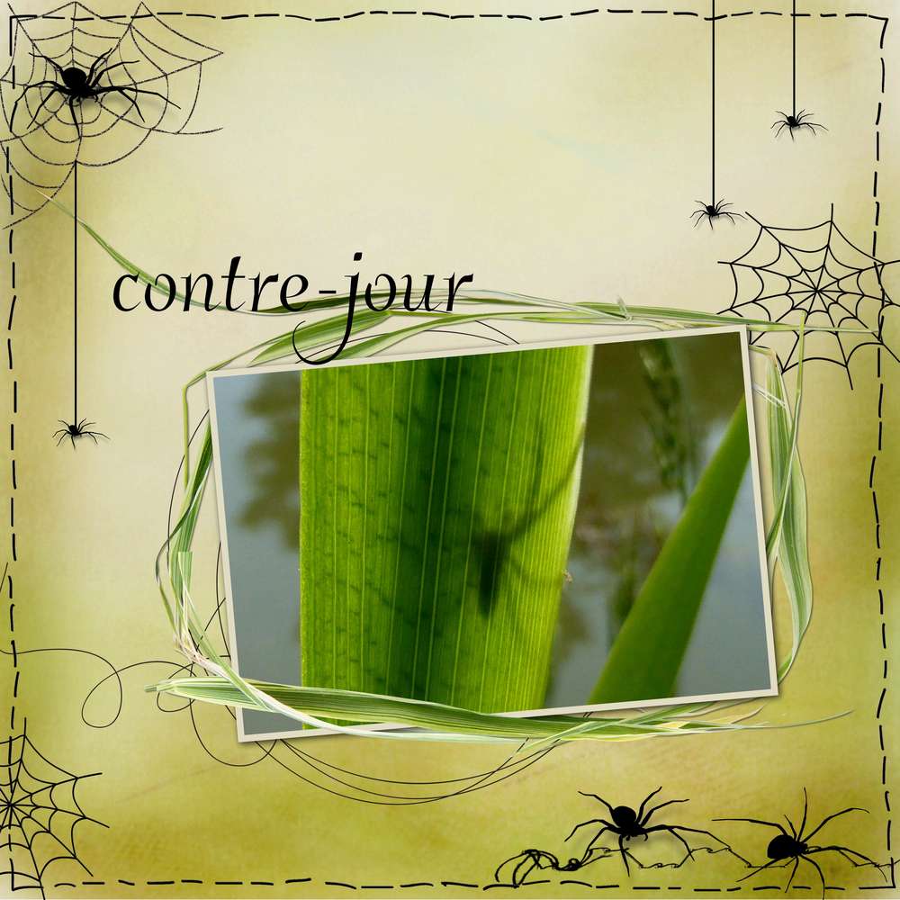 Scraptober araignée 3