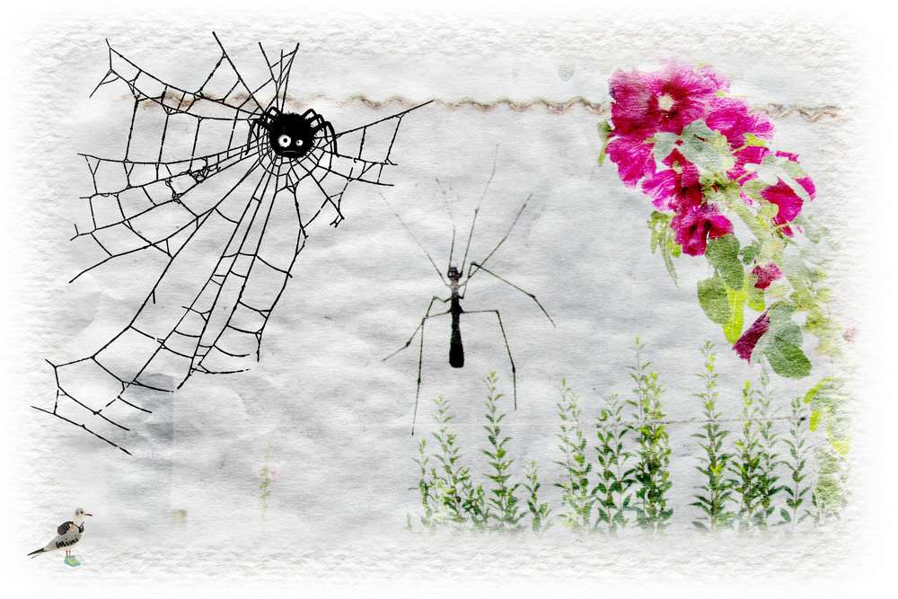 scraptober-araignée