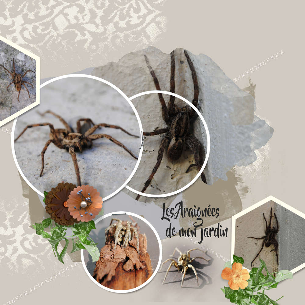 Scraptober araignée