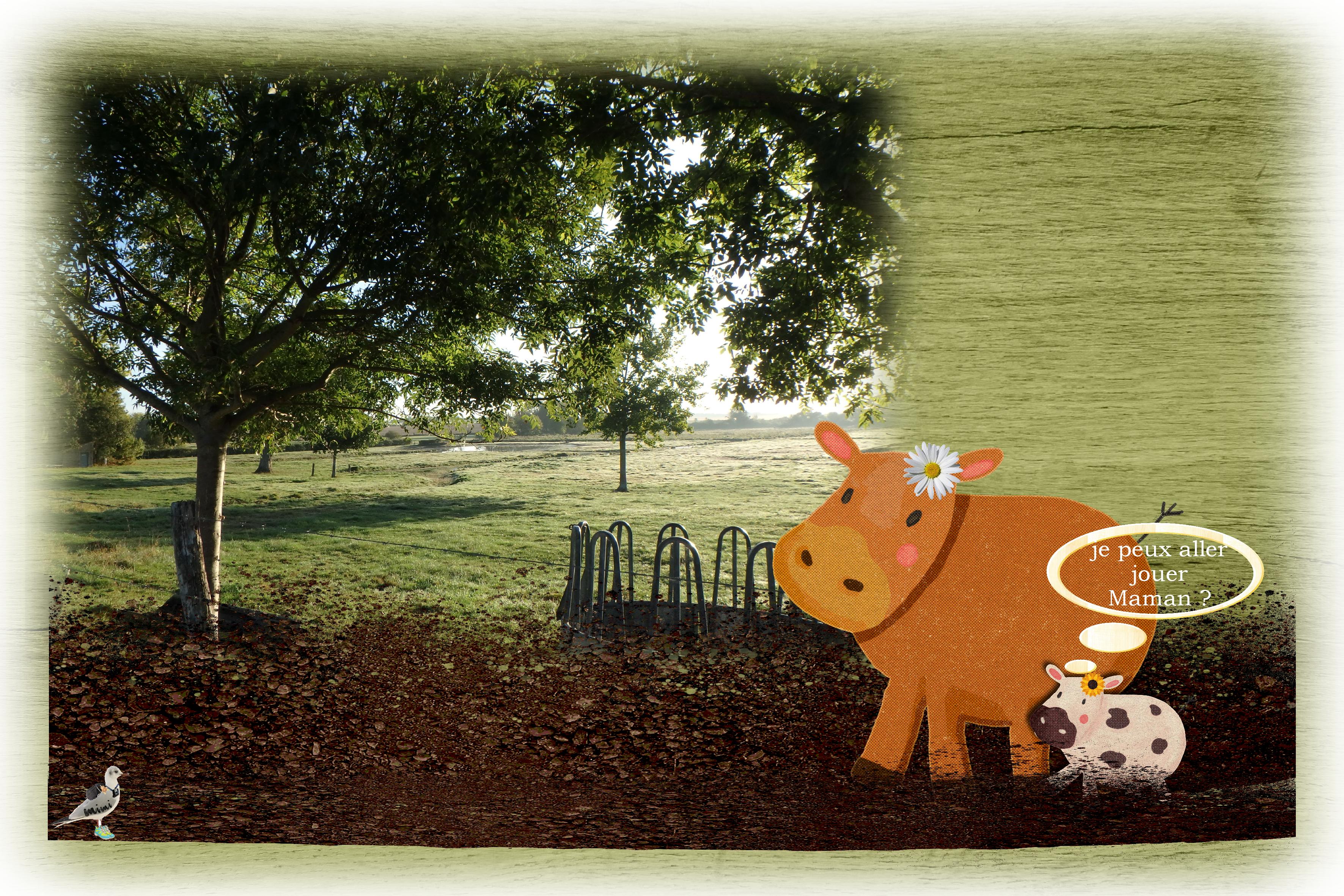 scraptober-campagne-29 oct.jpg