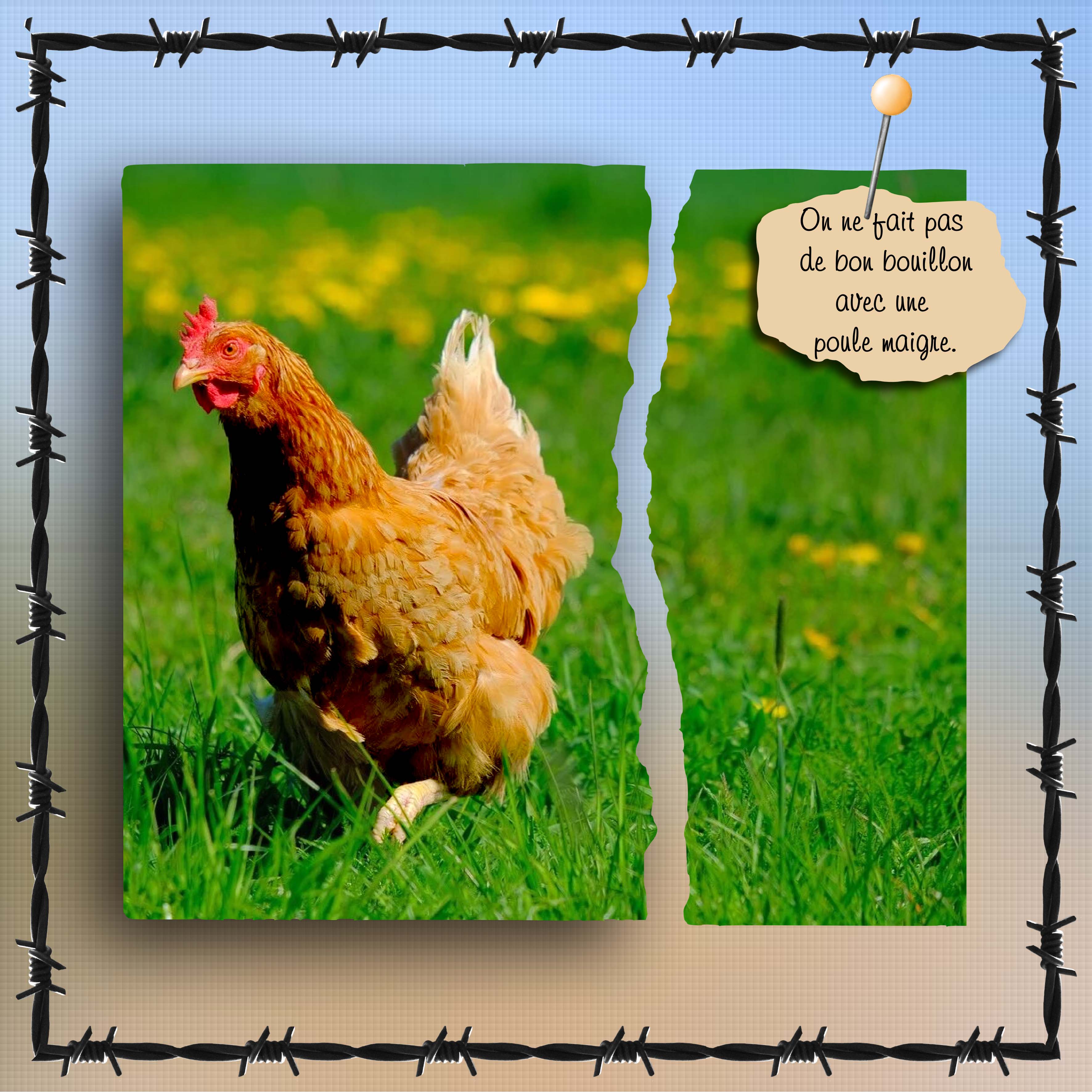 SCRAPTOBER DECHIRER.jpg