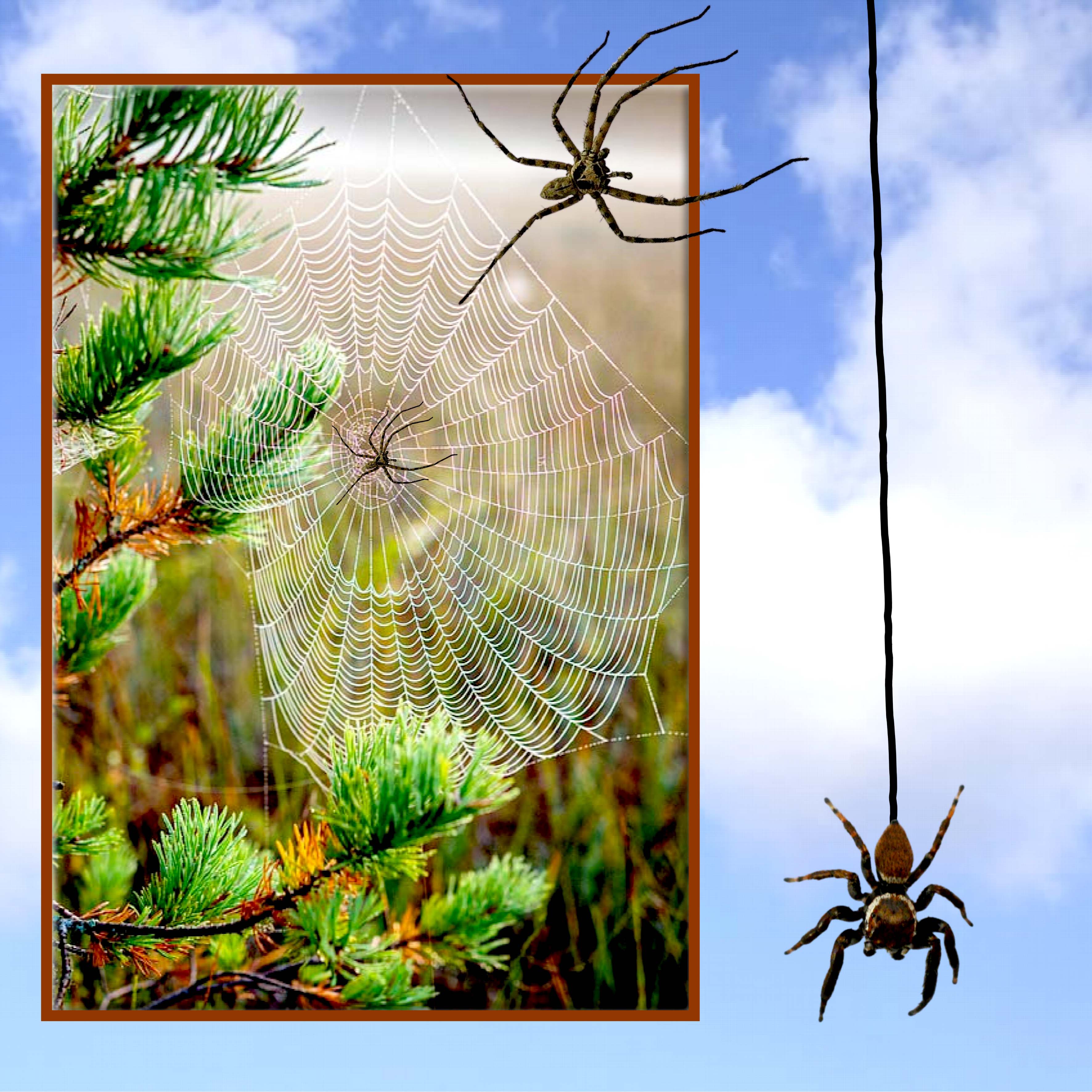 SCRAPTOBER DEGOUTANT.jpg