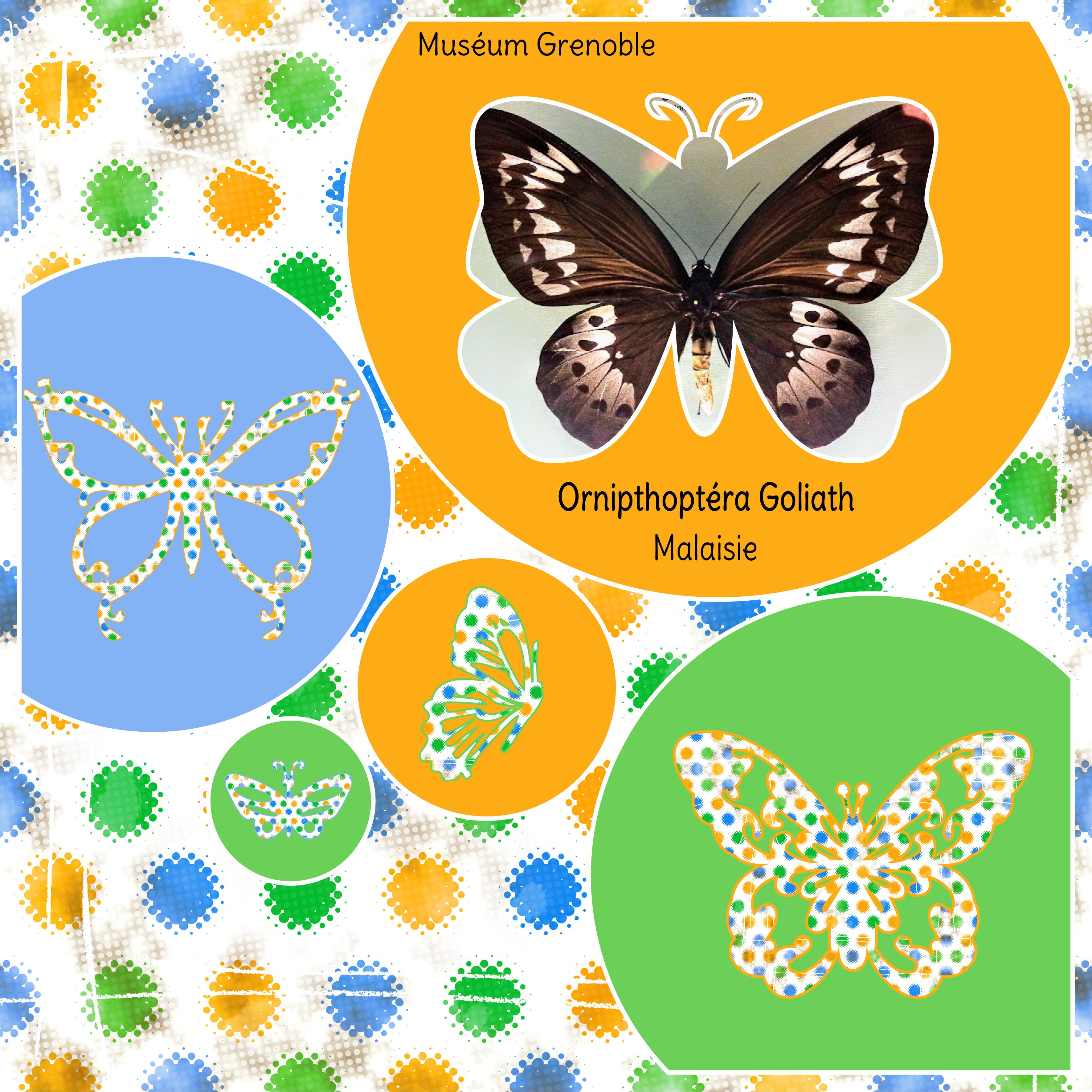 Scraptober insecte.jpg