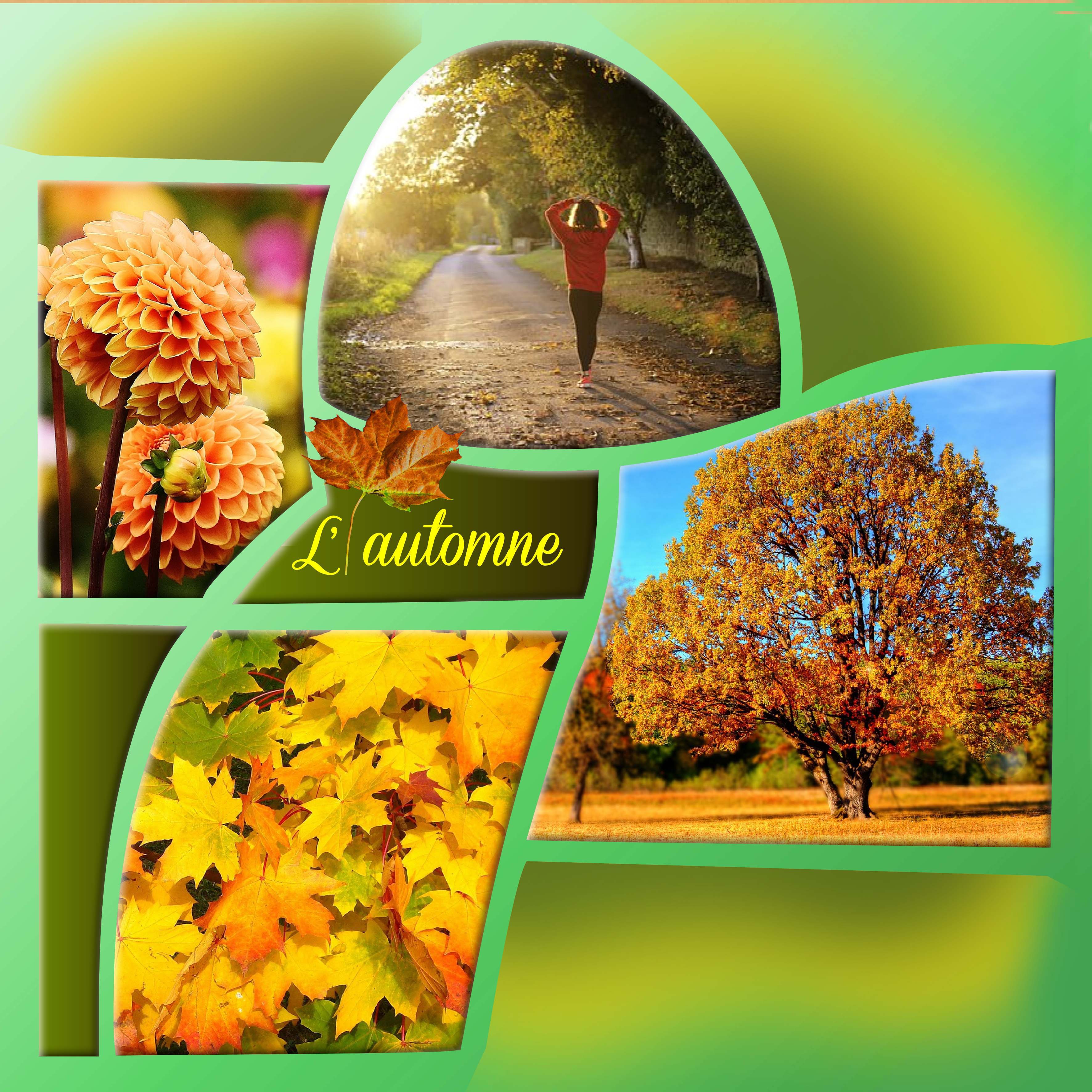 SCRAPTOBER L'Automne.jpg