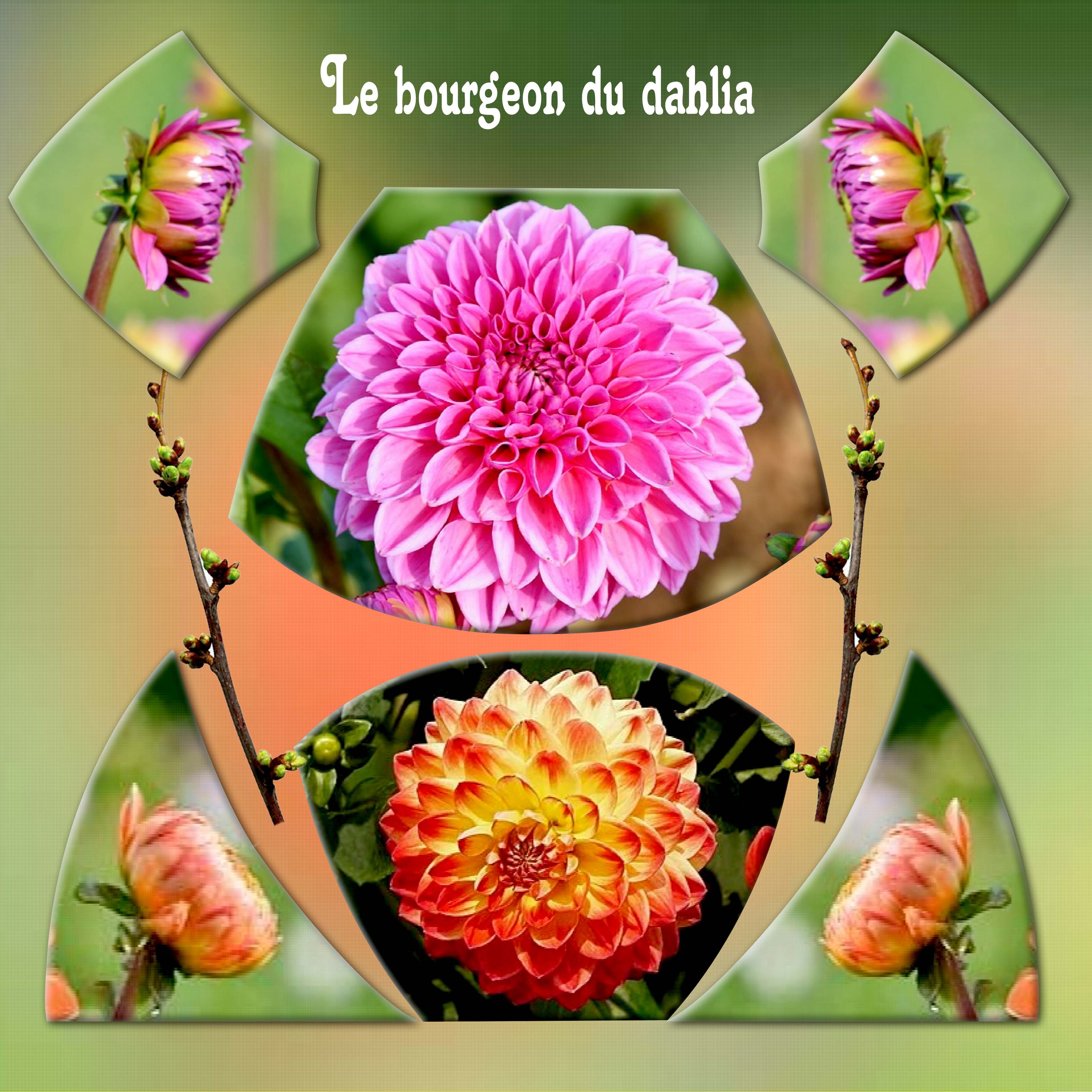 Scraptober Le bourgeon