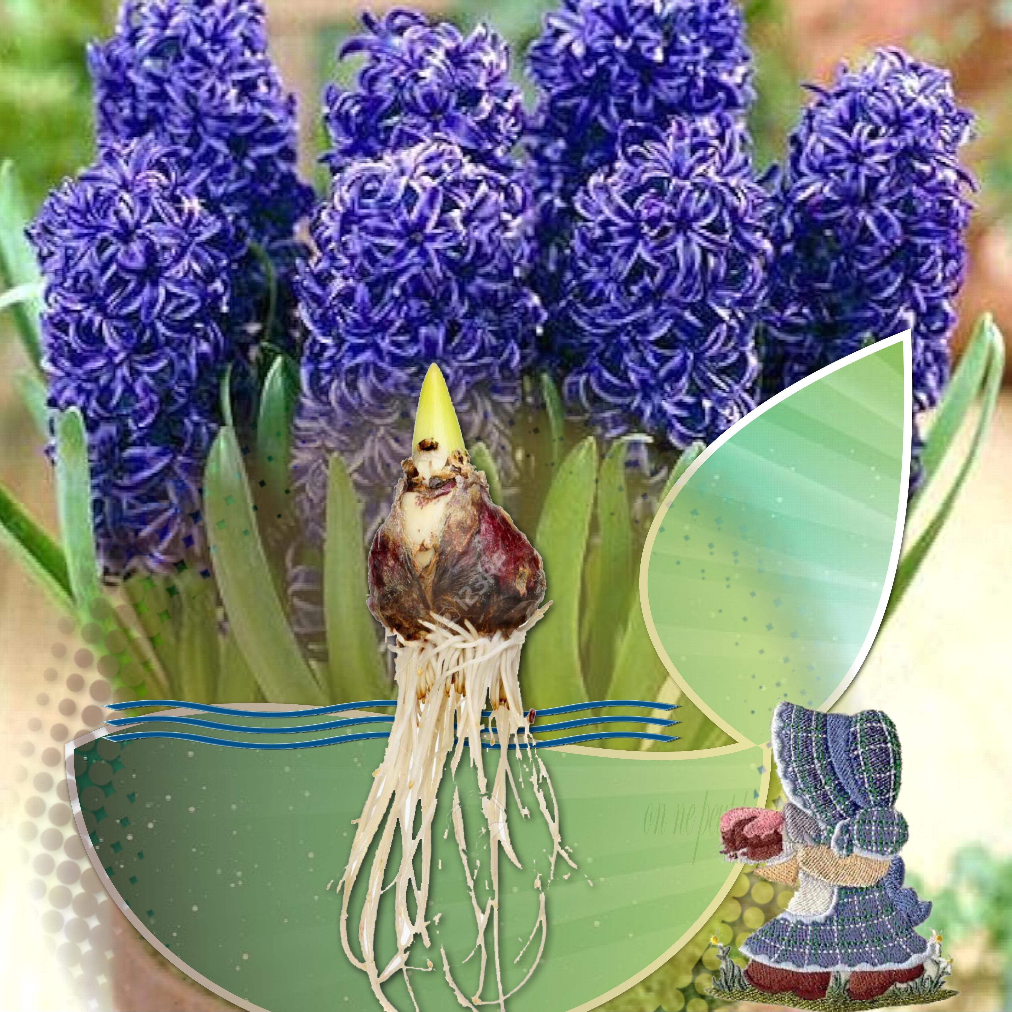 scraptober  racine.jpg