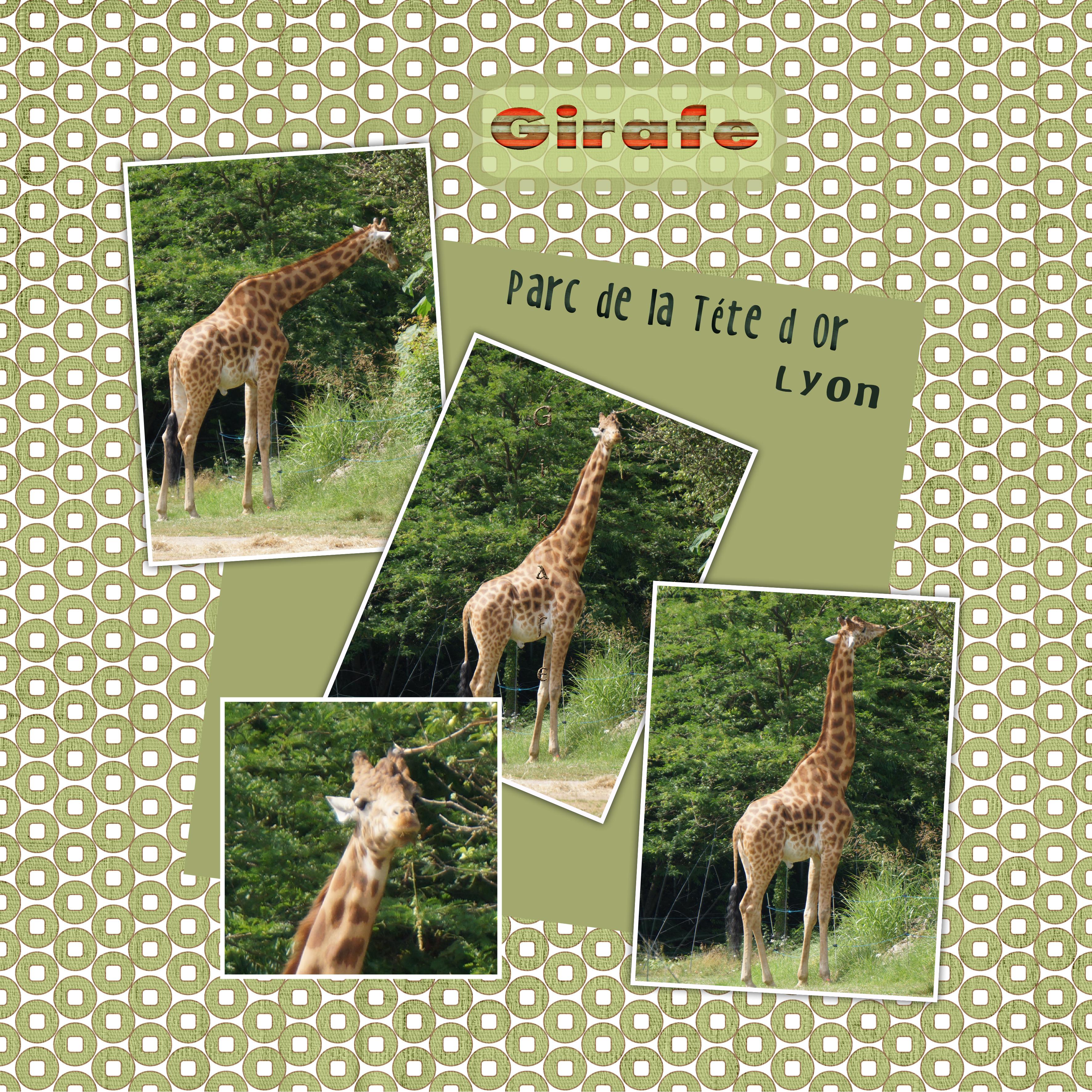 Scraptober Sauvage 2021.jpg