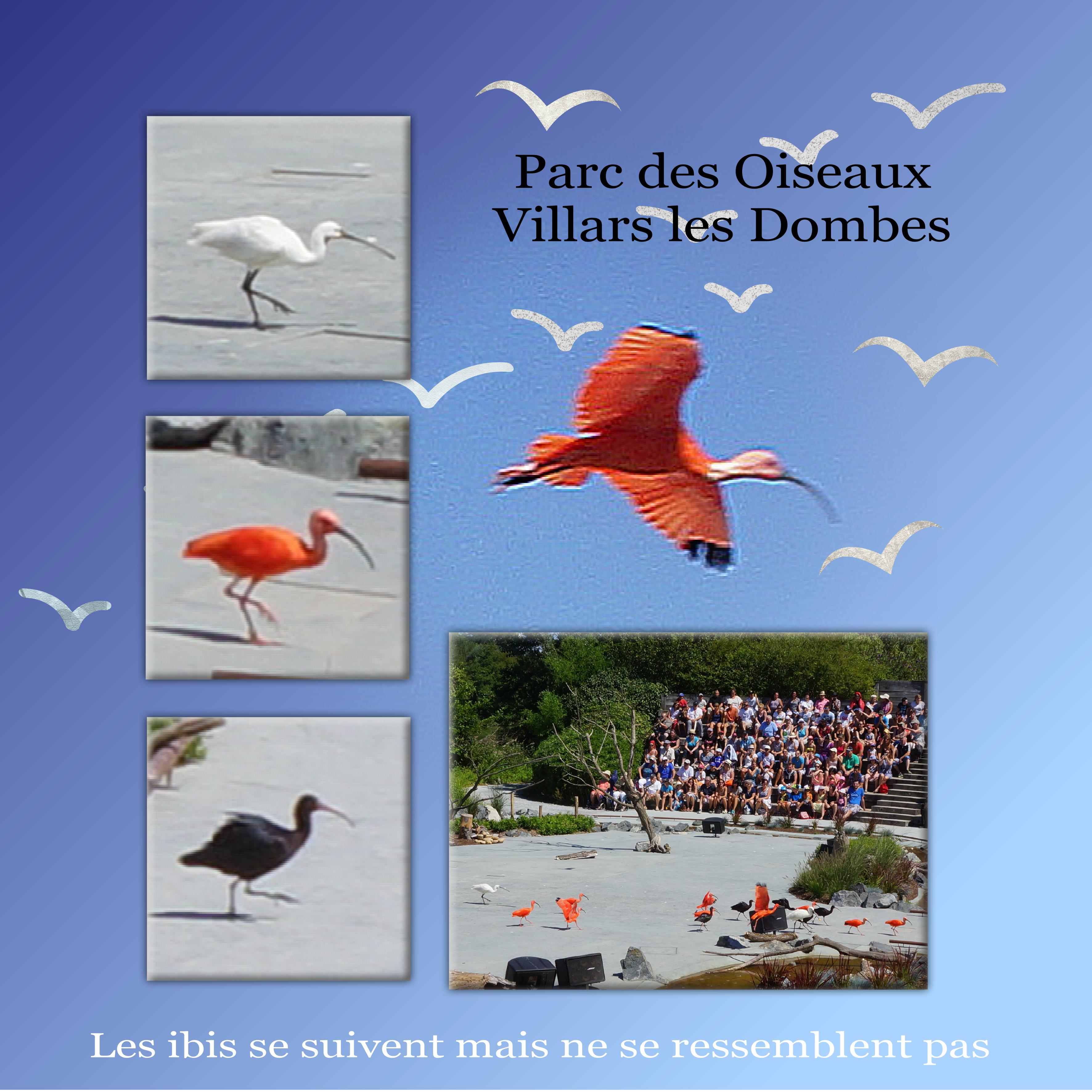 Scraptober spectacle 18 10 2021.jpg