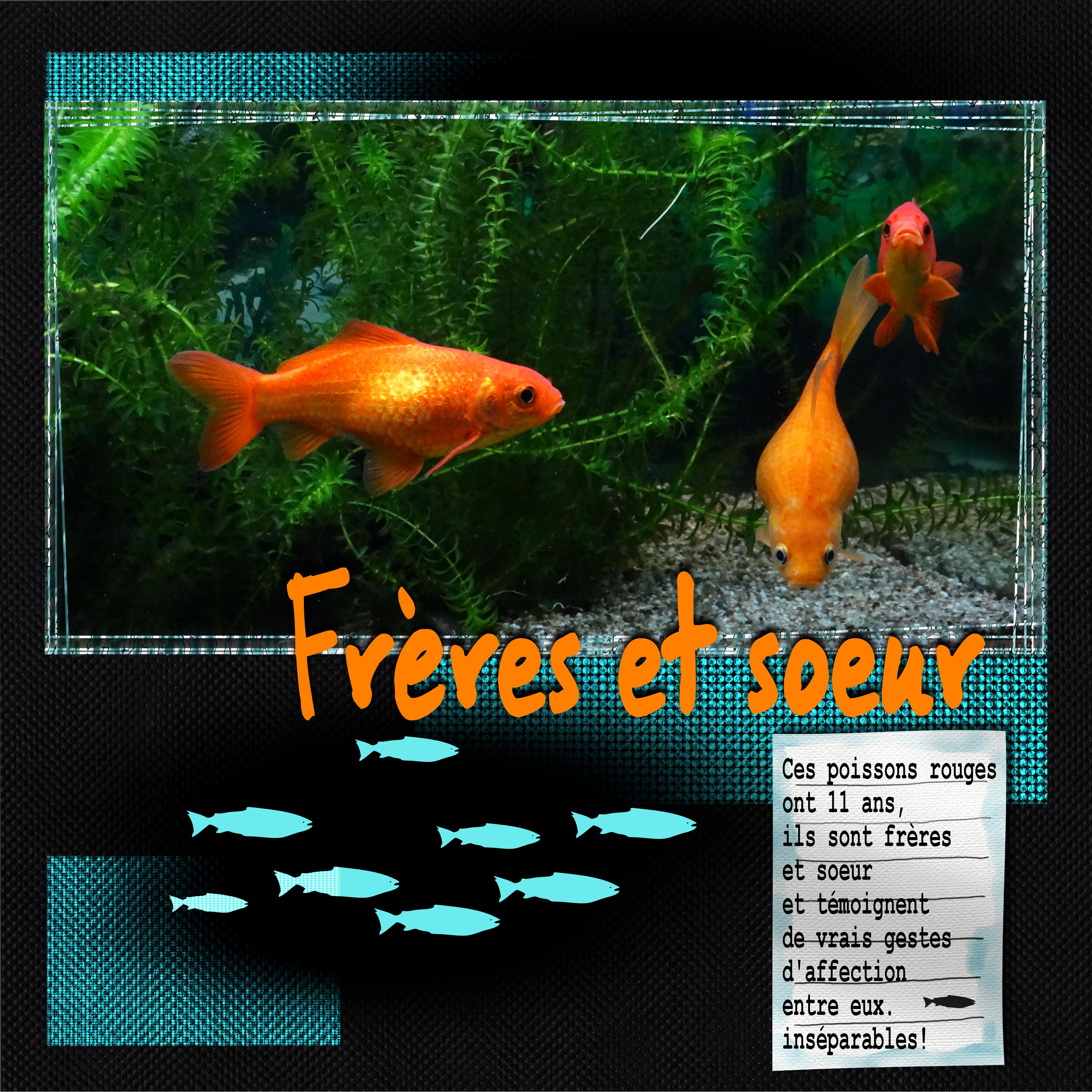 scraptober2022.1.en famille.jpg