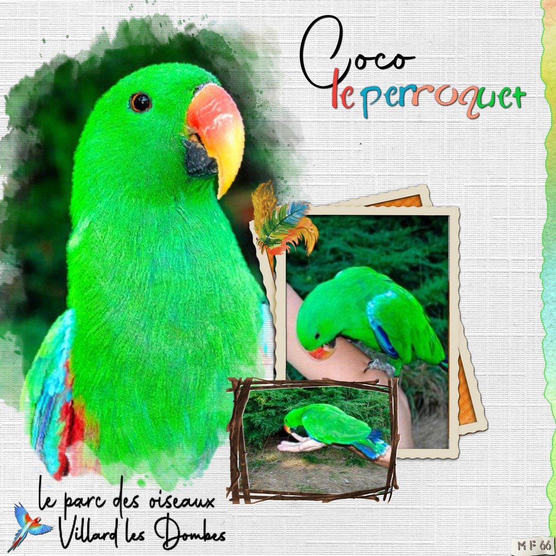 scraptober2022 oiseau 15.jpg