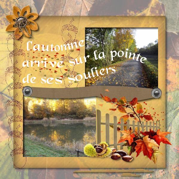 Scratober automne ()
