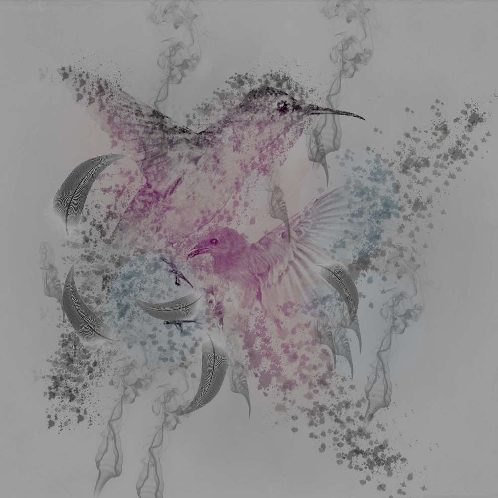 Se_voler_dans_les_plumes___1