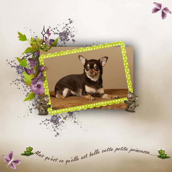 Séance Photo pour ma Lilo