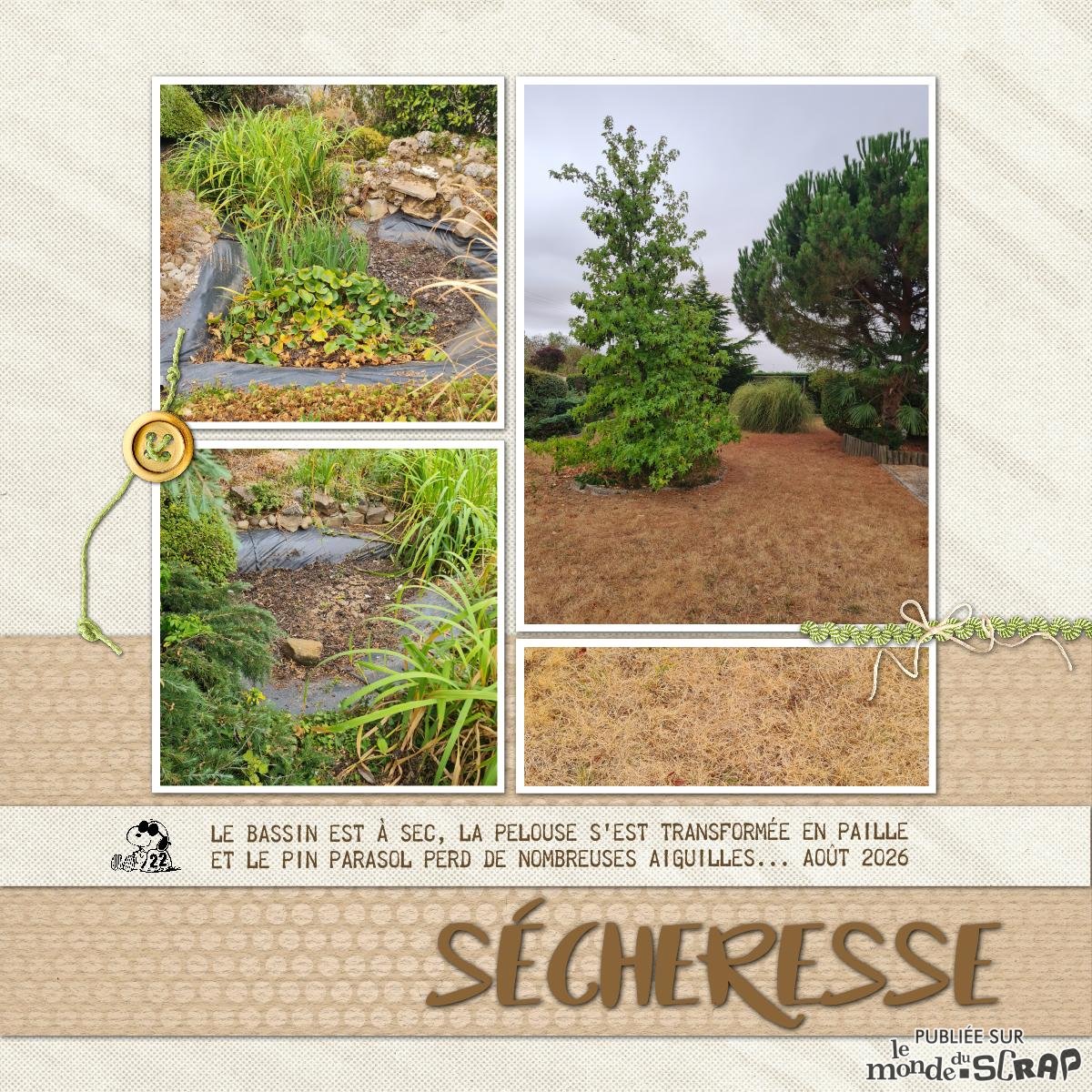 Sécheresse