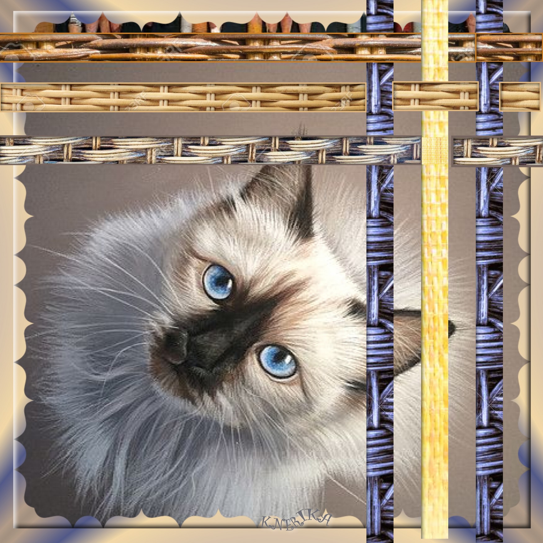 Seigneur le Chat,.jpg